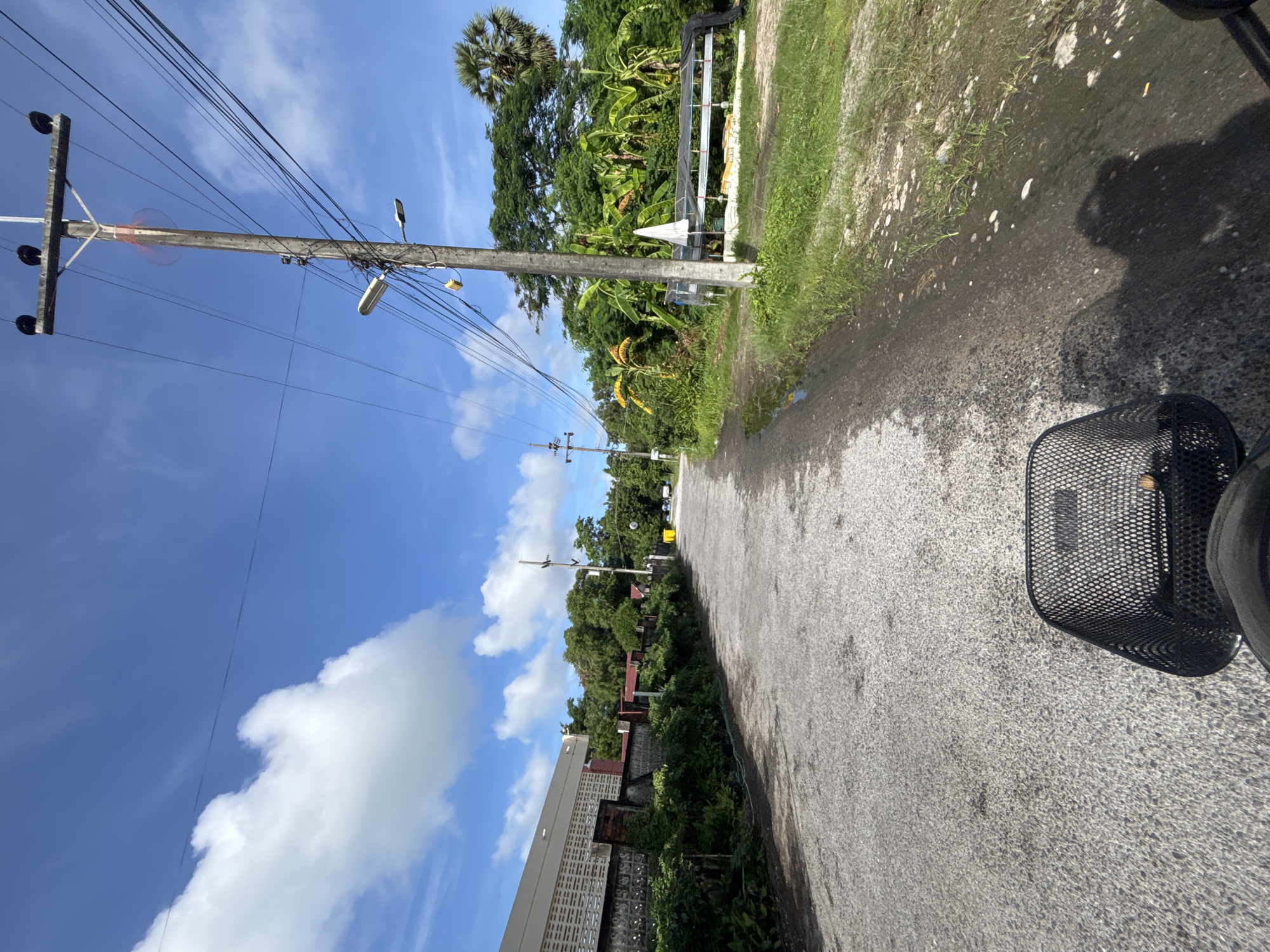 The image depicts a rural road in Chalong, Thailand, under a bright blue sky with scattered white clouds. The road appears to be paved with asphalt and is lined with lush green vegetation on both sides. On the left, a building with a white facade and patterned walls is visible, bordered by a low fence and dense foliage. On the right, a prominent wooden utility pole with multiple wires and streetlights stands tall. Beyond the pole, a variety of tropical trees, including palm trees and banana trees, create a dense green backdrop. There is also a structure with a white umbrella and netting, possibly a greenhouse or outdoor seating area. The foreground shows the front basket of a bicycle, suggesting the photo was taken from a moving vehicle. The road surface shows signs of dampness in some areas, indicating recent rain or a water source nearby. The overall scene is tranquil and characteristic of a tropical rural setting.