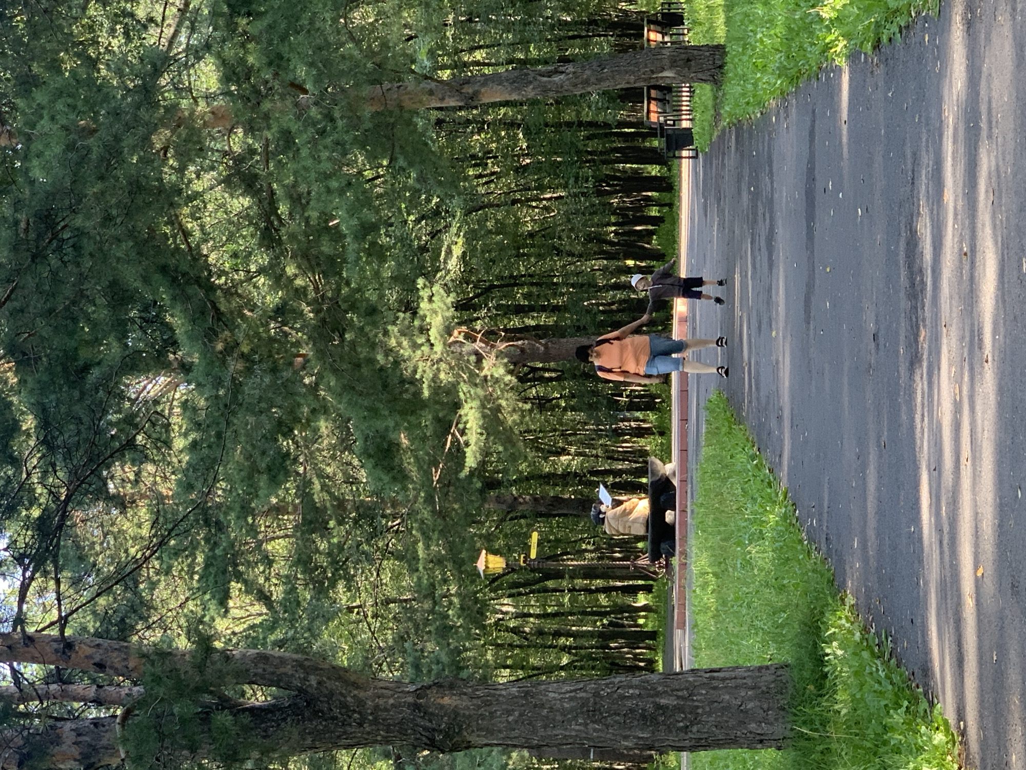 A woman and a young child walk on a paved pathway in a park. The woman, wearing an orange t-shirt and denim shorts, holds the child's hand. The child, wearing a white hat, grey sweatshirt, and dark shorts, walks to her right. In the background, a person sits on a stone bench, facing away from the camera, holding a white object. A lamppost with a yellow lantern stands behind the bench. The pathway is bordered by a grassy area and trees. The scene is located in the city of Prokopyevsk, Russia.
