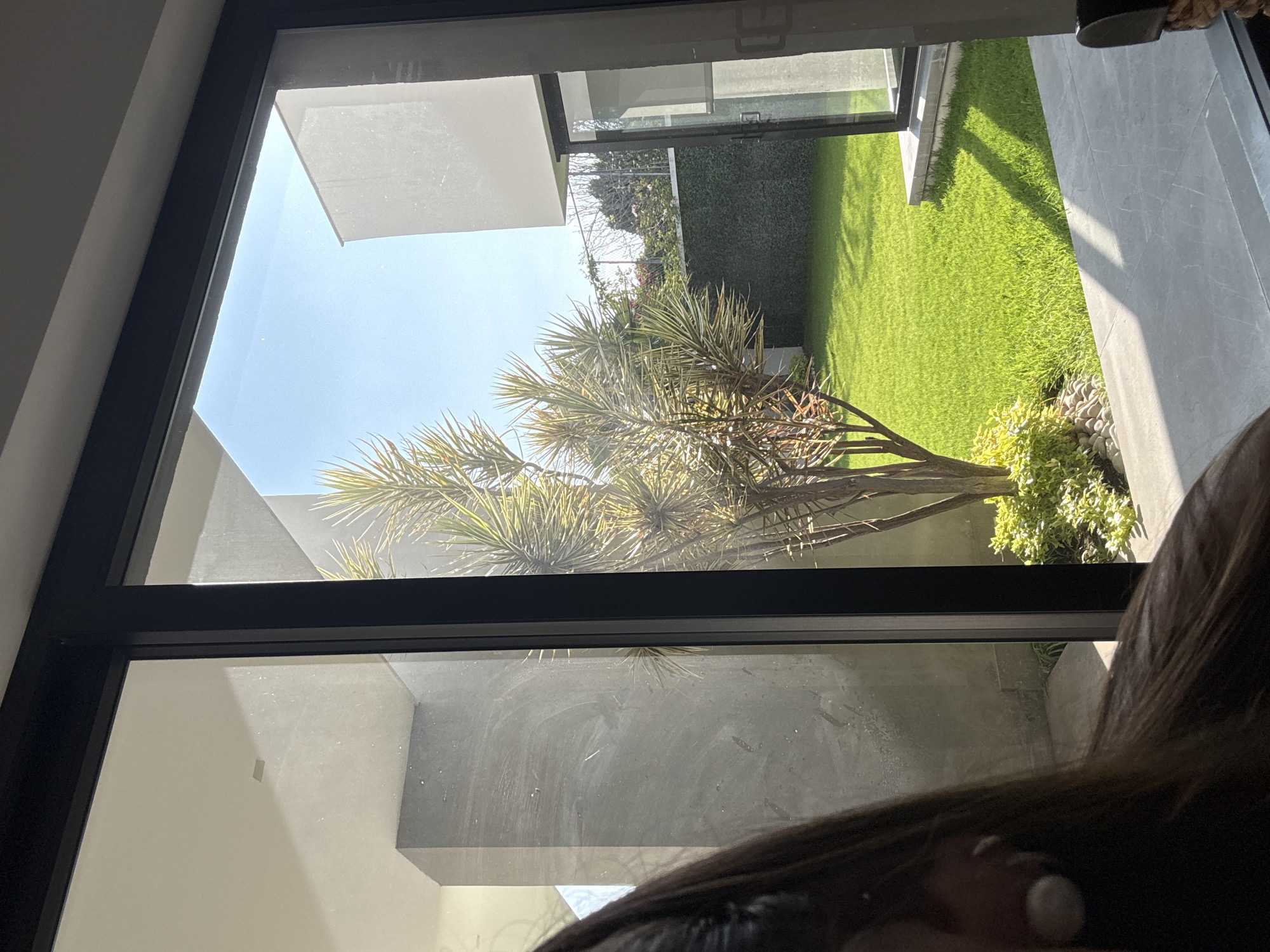 A view from inside a building, framed by a large window with a black frame, overlooks an outdoor space. The scene outside features a well-maintained lawn, a low hedge, and a decorative tree with spiky foliage. Architectural elements of the building are visible both inside and outside the window, showing clean, modern lines. The interior of the building appears simple, with light-colored walls. The window reflects the exterior scene to some extent. Part of a person is visible in the foreground, obscuring the lower-right portion of the window. The location appears to be San Bernardino Tlaxcalancingo, Mexico, based on context.