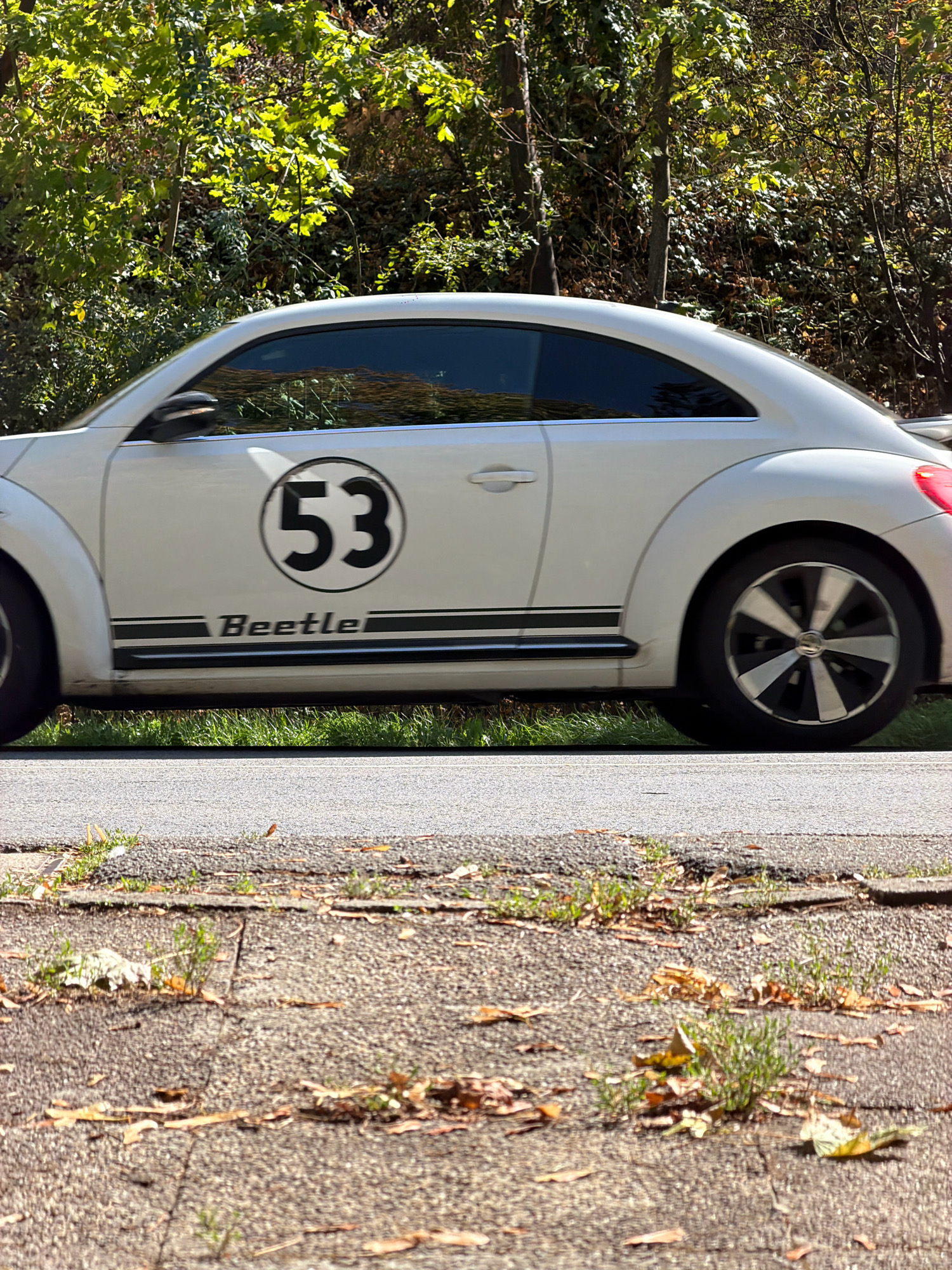 A white Volkswagen Beetle, prominently displaying the number "53" in a black circle on its side and the word "Beetle" with twin black racing stripes below it, is parked on the side of a paved road. The car is positioned on a grassy shoulder adjacent to the road, with a dense line of green trees and foliage forming a backdrop behind it. The road itself is asphalt, showing signs of wear with cracks and scattered dry leaves on the surface and sidewalk. The scene appears to be in a natural or suburban setting, likely outdoors, on a sunny day given the lighting and shadows. There are no people visible in the image. The location is stated to be Esch-sur-Alzette, Luxembourg.