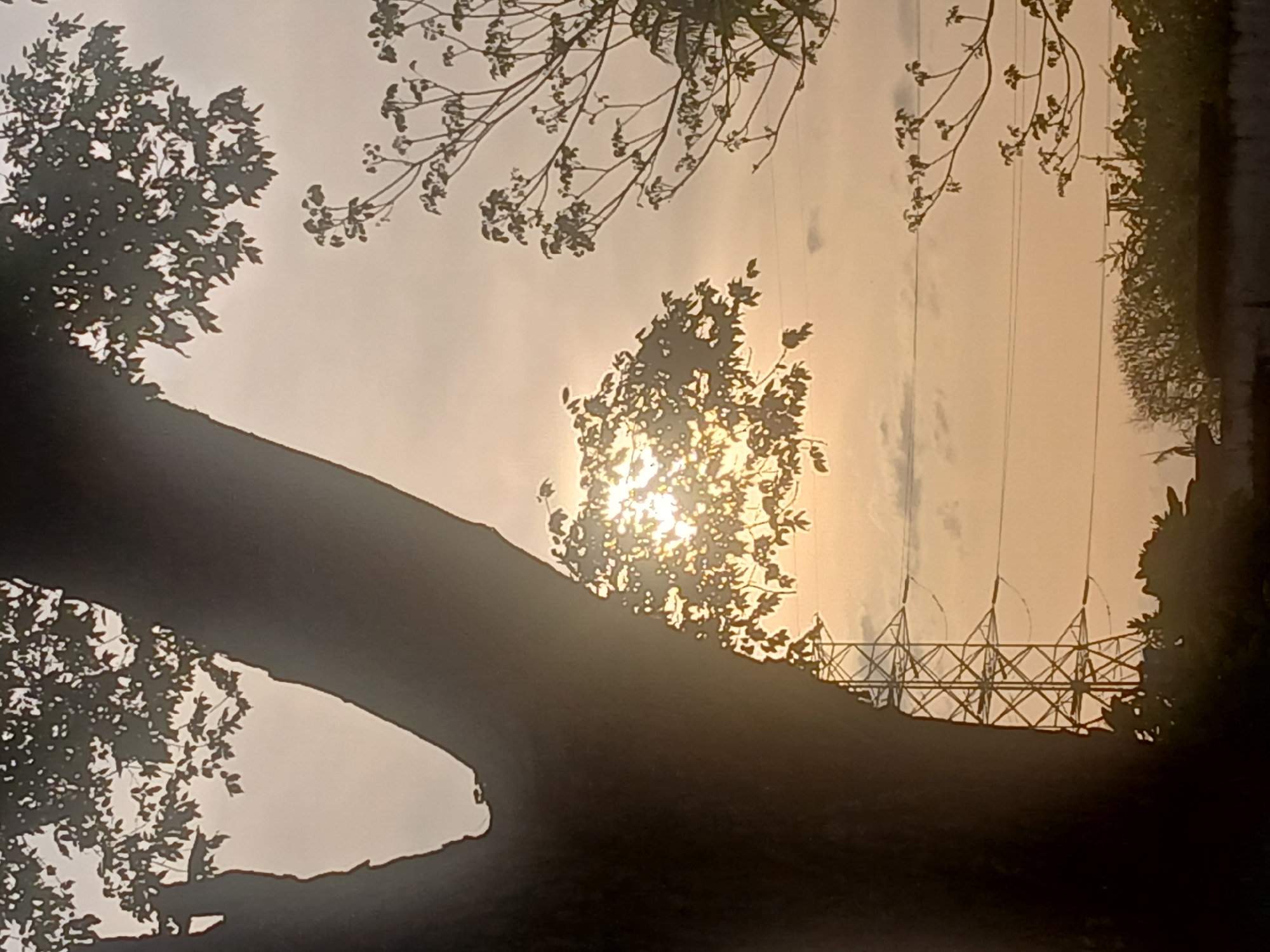 The image depicts a view in Ciudad Guayana, Venezuela, with the sun shining through trees. In the foreground, a large tree trunk and branches occupy the left side. In the background, silhouetted power lines and pylons can be seen through the trees. The sky is bright with a hazy or diffused light. The perspective is low, looking upwards towards the sun and the structures in the background.