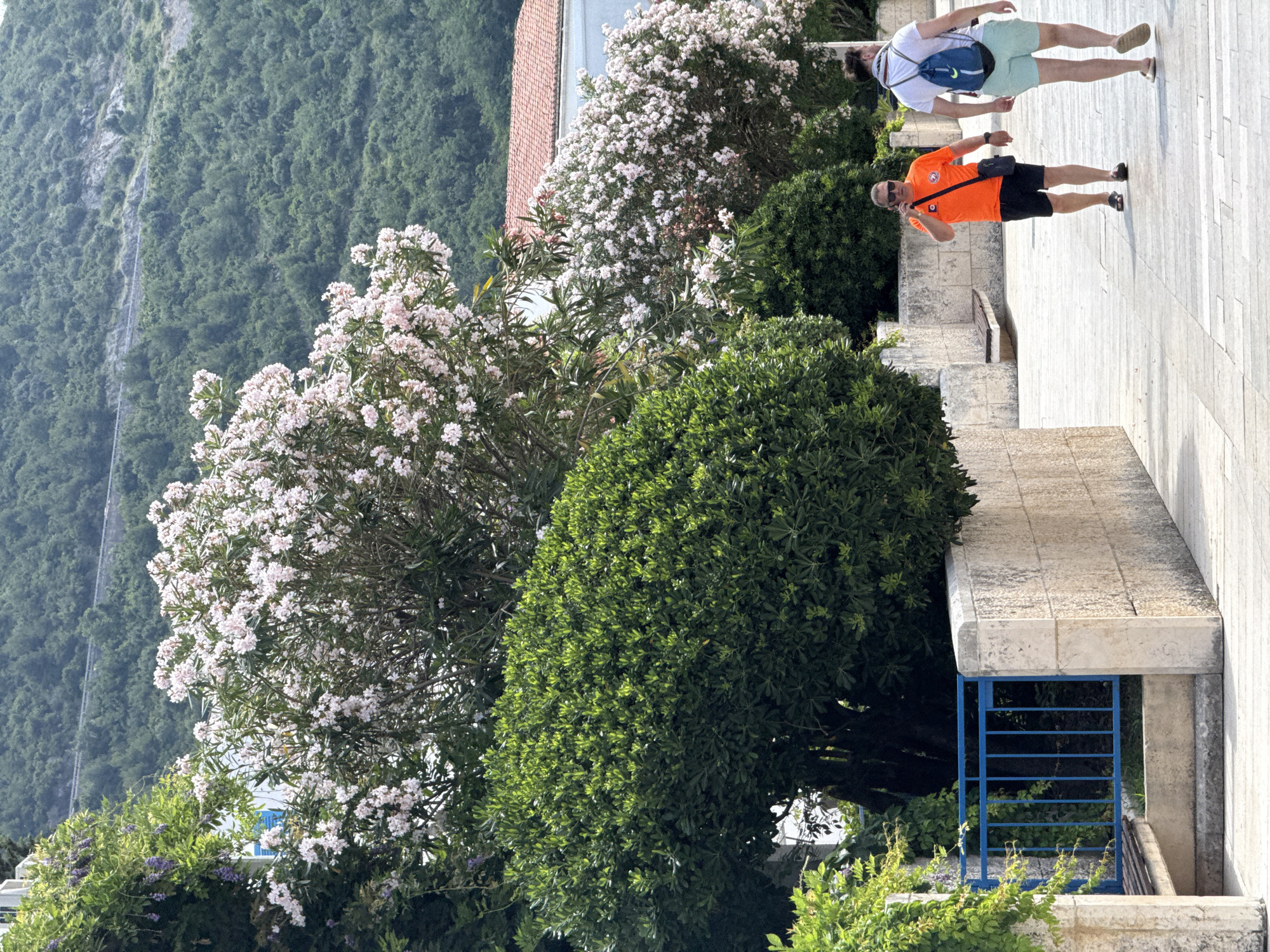 Two men walk on a paved sidewalk in Budva, Montenegro, with lush green foliage and flowering trees in the background. The man on the left wears an orange t-shirt, black shorts, sunglasses, and is speaking on his phone. The man on the right wears a white t-shirt, light blue shorts, and a backpack, and walks away from the camera. A stone wall and a blue metal fence border the sidewalk. The background features a hillside covered in green trees and a distant road.