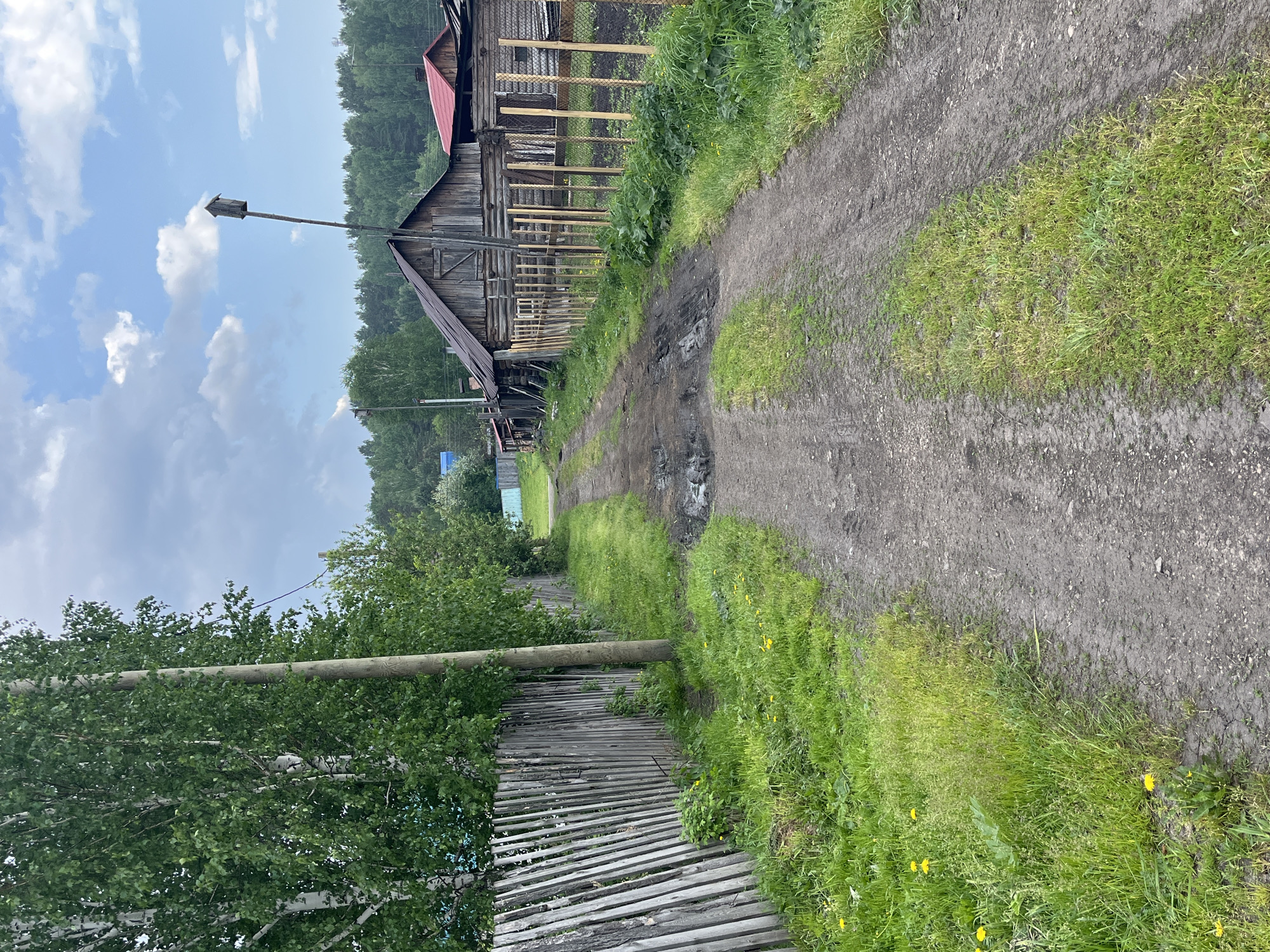 The image depicts a rural dirt road in Beryozovsky, Russia, flanked by a wooden fence on the left and wooden houses and a fence on the right. The road is uneven with visible tire tracks and a muddy puddle in the center. Lush green grass and some yellow wildflowers grow along the sides of the road. Trees, including birch trees, are present on the left, and a dense forest forms the background. A wooden utility pole stands near the birch trees, and a birdhouse is mounted on a tall, thin pole on the right side of the road, above the houses. The sky is partly cloudy with white clouds against a blue background. The overall scene suggests a peaceful, unpaved residential area in a natural setting.