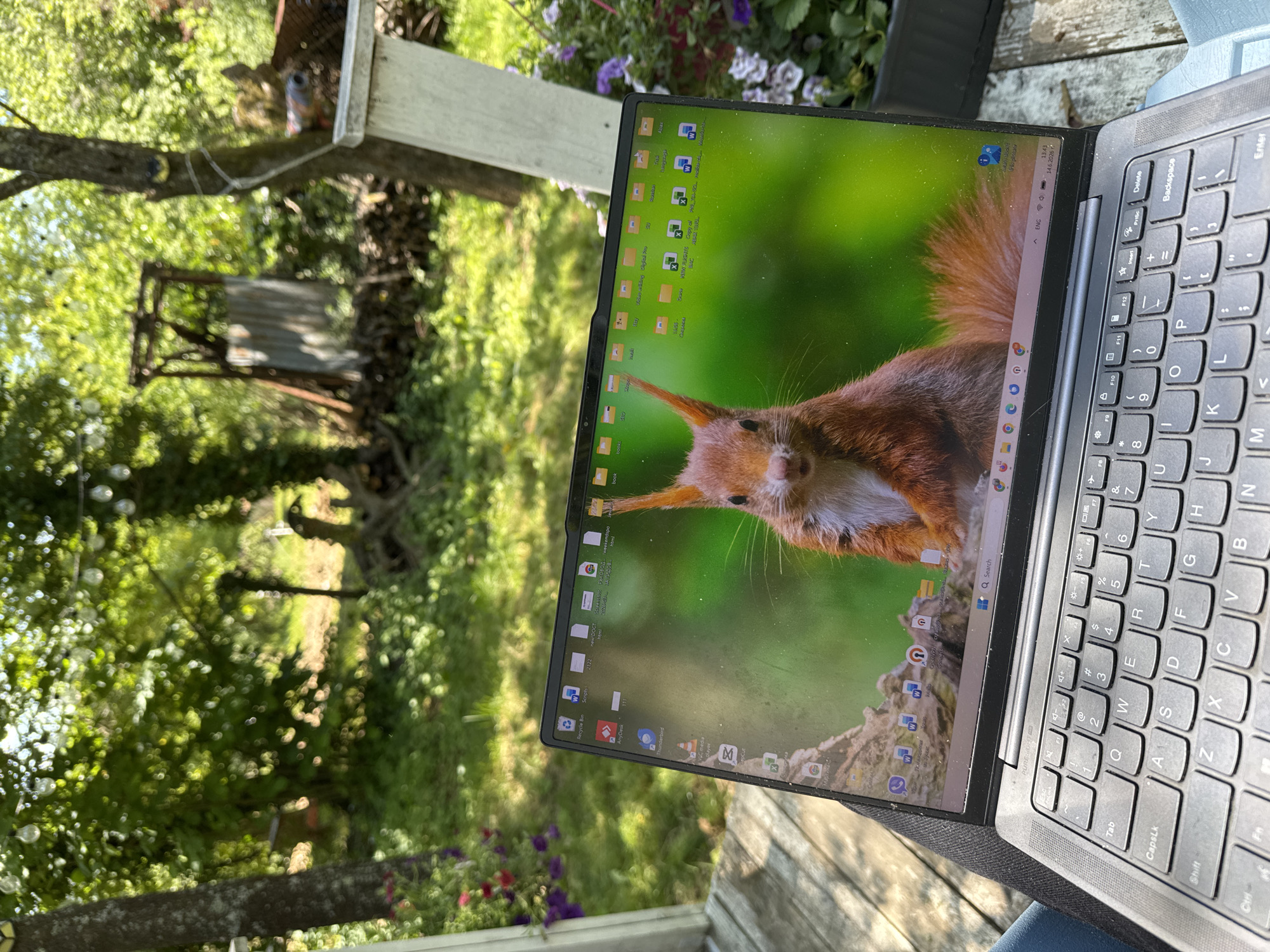 A close-up, eye-level, outdoor shot shows a laptop on a person's lap. The laptop's screen displays a vibrant wallpaper of a red squirrel. The laptop is open, and the keyboard is visible. In the background, a lush green garden is visible, with trees, foliage, and some rustic structures. There are also string lights hanging above the garden. The lighting suggests it is daytime, with sunlight filtering through the trees, creating dappled light. The overall impression is one of a serene, natural setting, possibly a backyard or patio, where someone is working or relaxing outdoors. The scene is located in Dramsha, Bulgaria.