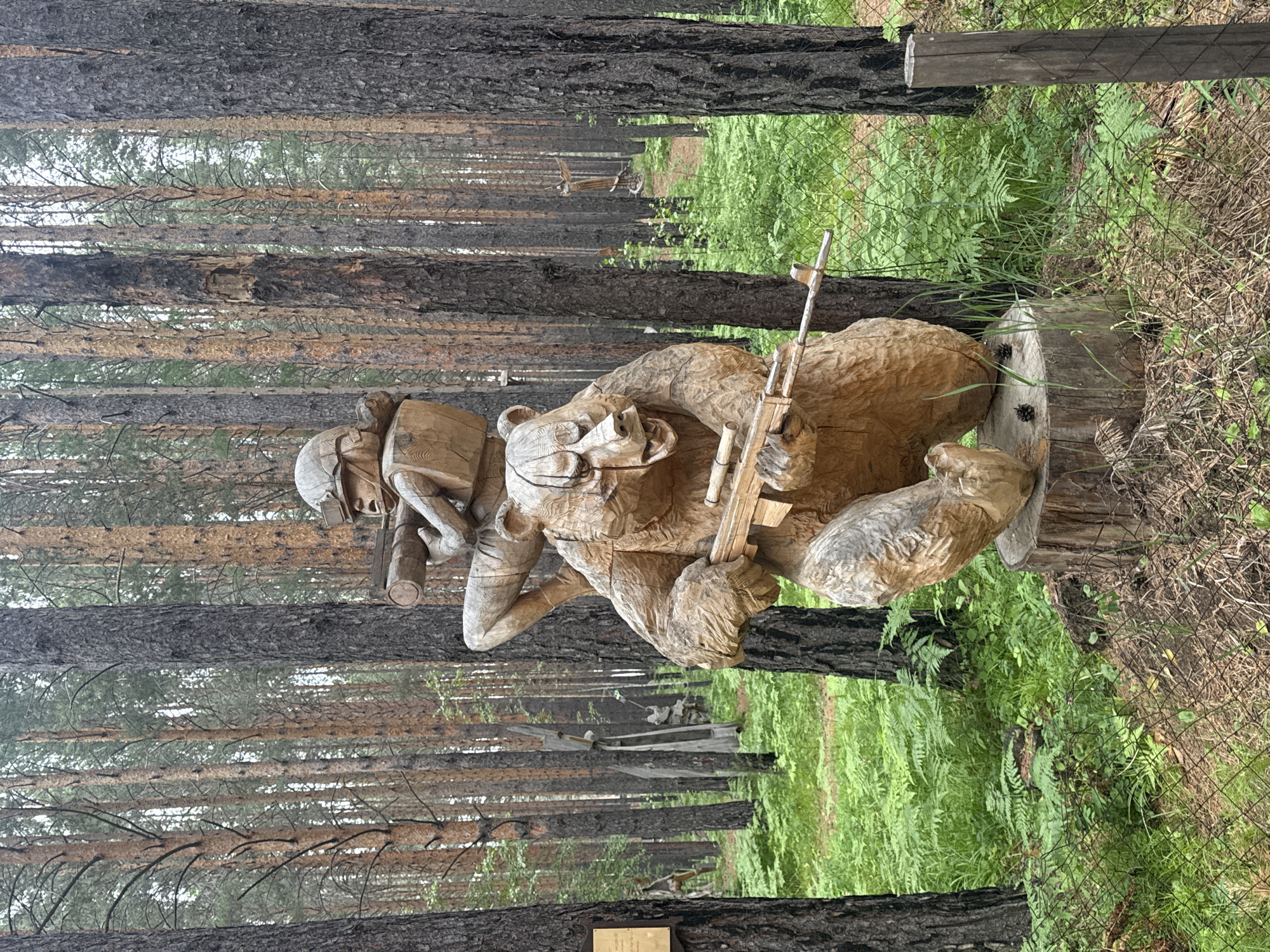 In the city of Savvateyevka, Russia, a wooden sculpture depicts a soldier riding on the back of a bear. The soldier, wearing a helmet and vest, is positioned behind the bear, holding a rifle. The bear, also carved from wood, is depicted in a crouching position and is holding a rifle in its paws. Both figures are intricately detailed, with visible textures and expressions. The sculpture is situated in a forest clearing, surrounded by tall pine trees and lush green ferns. A wire fence runs along the foreground, with dry pine needles and twigs scattered on the ground. In the background, other wooden sculptures are visible amongst the trees, suggesting a larger art installation within the forest. The overall scene appears to be an outdoor exhibit in a natural, wooded environment.