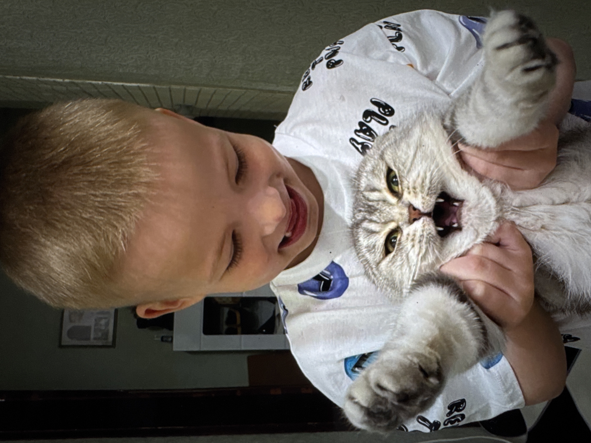 A young blond boy is holding a gray and white cat. The cat's mouth is open, possibly hissing. The boy is smiling. They are indoors. The boy wears a white t-shirt with black and blue designs. A picture frame hangs on the wall in the background. A white cabinet or appliance is also visible. The location is Solikamsk, Russia.