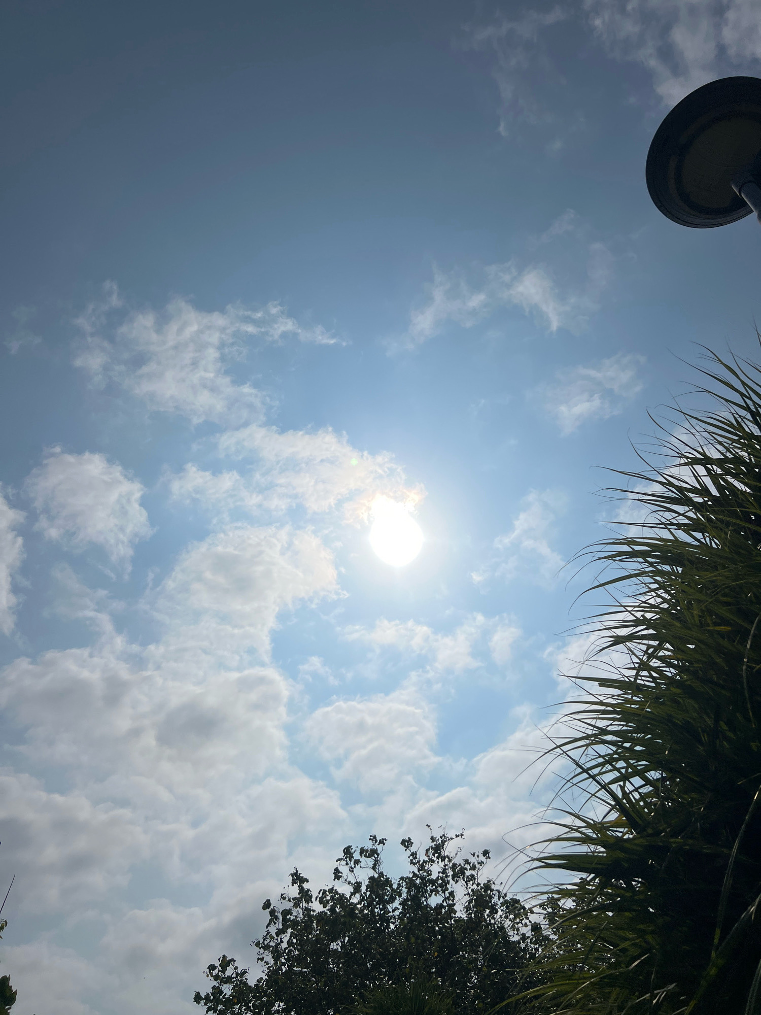 A bright, sunlit sky fills the frame, with scattered white clouds. The sun is visible as a luminous orb in the upper center of the image, with a slight lens flare. In the upper right corner, the dark, circular head of a street lamp is visible. On the right side of the image, lush green palm fronds extend into the frame from the right edge, their long, thin leaves creating a natural, feathery texture. At the bottom center, the dark silhouettes of tree branches and foliage are visible against the bright sky. The scene evokes a warm, outdoor environment, possibly a park or a public area within Kuta, Indonesia, given the presence of palm trees and the tropical appearance of the sky.