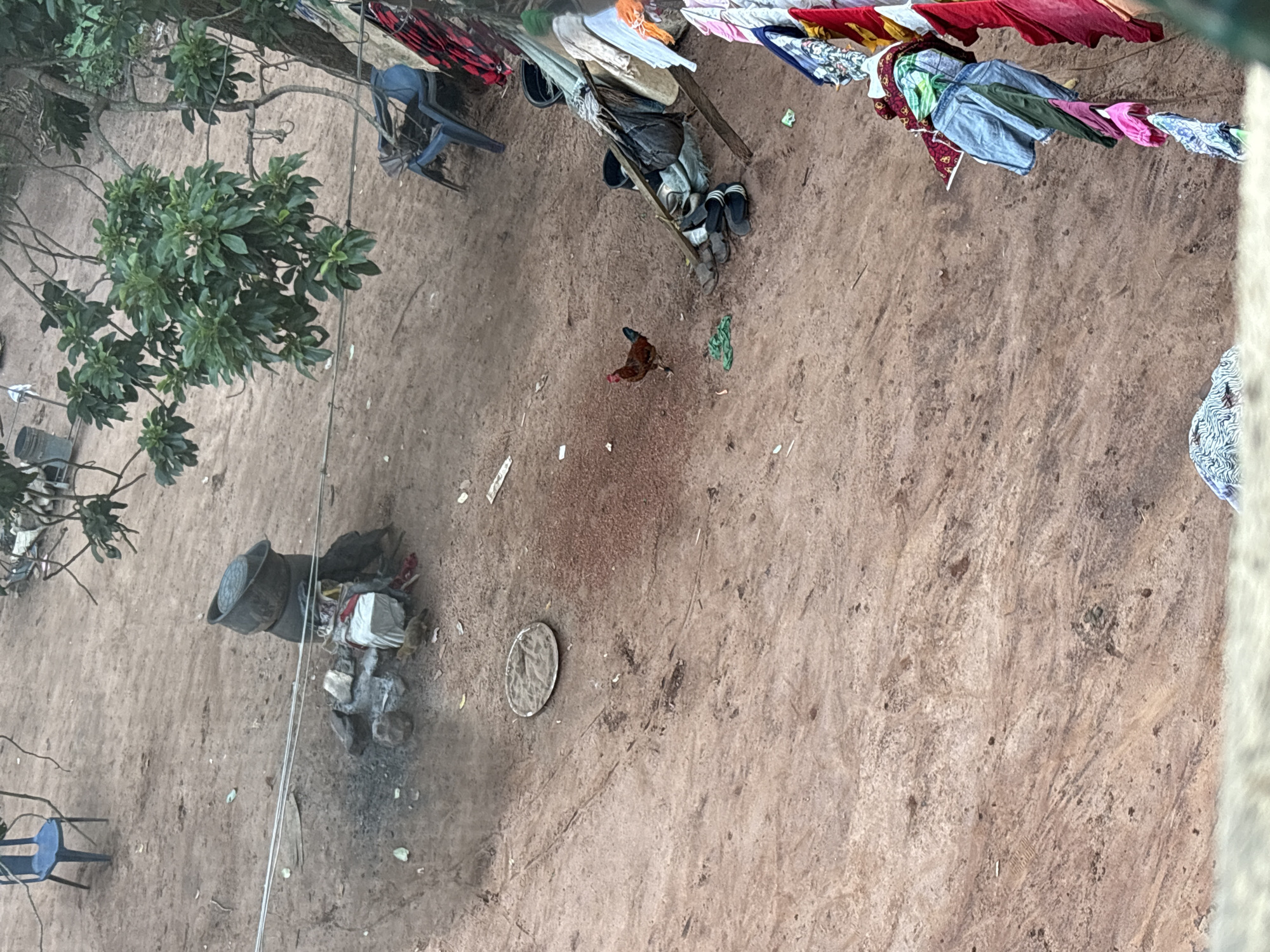 This is an aerial view of a dusty outdoor area in Onitsha, Nigeria, likely a residential compound or yard. The ground is primarily reddish-brown dirt with some scattered debris, including rocks, leaves, and small pieces of trash.
In the foreground, a line of colorful laundry is hanging on a makeshift clothesline, with various garments such as shirts, pants, and fabrics draped over it. Some laundry is also piled on the ground.
Further into the scene, a single rooster with brown and black plumage is walking on the dirt. Nearby, a round, flat object, possibly a metal tray or lid, rests on the ground.
In the middle ground, a small makeshift fire pit is visible, with stones, ash, and some white and red fabric scraps around it. Two large, dark, pot-like objects are stacked on top of each other near the fire pit.
Two blue plastic chairs are present in the scene, one in the upper left and another in the upper right. A tree with green foliage extends into the frame from the right. Various objects like shoes and buckets are scattered around the area. The overall impression is of a functional outdoor space in a modest urban environment.