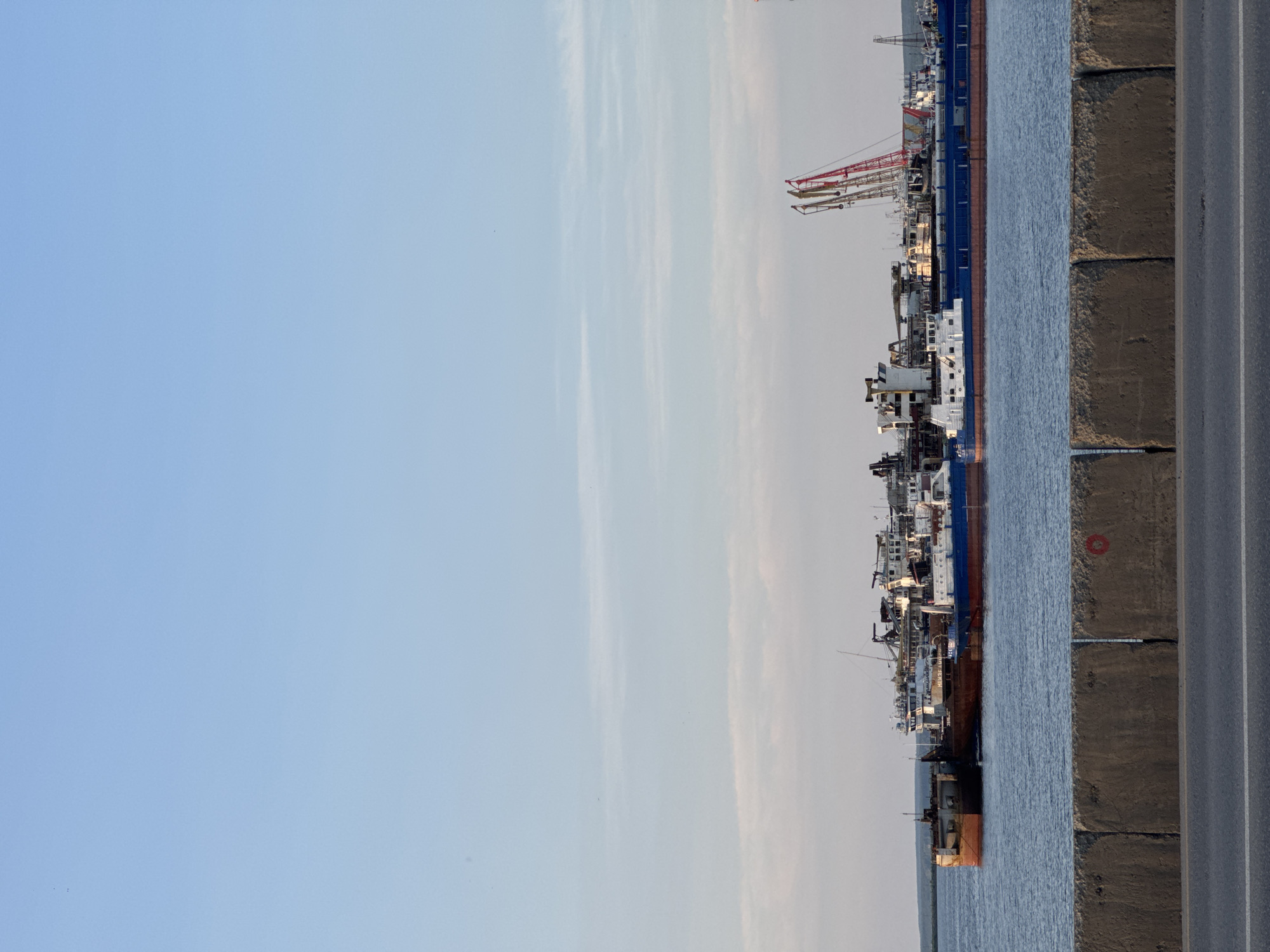 The image depicts a large industrial harbor scene in Chaikovsky, Russia. The primary subjects are numerous ships docked side-by-side along a concrete pier. These vessels vary in size and type, with some appearing to be cargo ships and others smaller service boats. Cranes, characteristic of a port, are visible in the background, suggesting ongoing or recent loading and unloading activities. The water is a calm, deep blue, reflecting the clear sky.
The scene is bathed in the soft light of what appears to be either early morning or late afternoon, with a bright, pale blue sky dominating the upper portion of the image. Thin, wispy clouds streak across the sky, adding a gentle texture. On the right side of the image, a road runs parallel to the pier, made of concrete blocks and asphalt, indicating a functional and active industrial area.
One of the ships has visible text on its hull, which appears to read "VALGA BEACH". A red circular marking is also present on the concrete pier. No people are prominently visible in the frame, implying a focus on the industrial infrastructure and the vessels themselves. The overall impression is one of a working port, with a sense of quiet industriousness under a serene sky. The location cues, such as the specific ship name and the known context of Chaikovsky, Russia, confirm the setting.