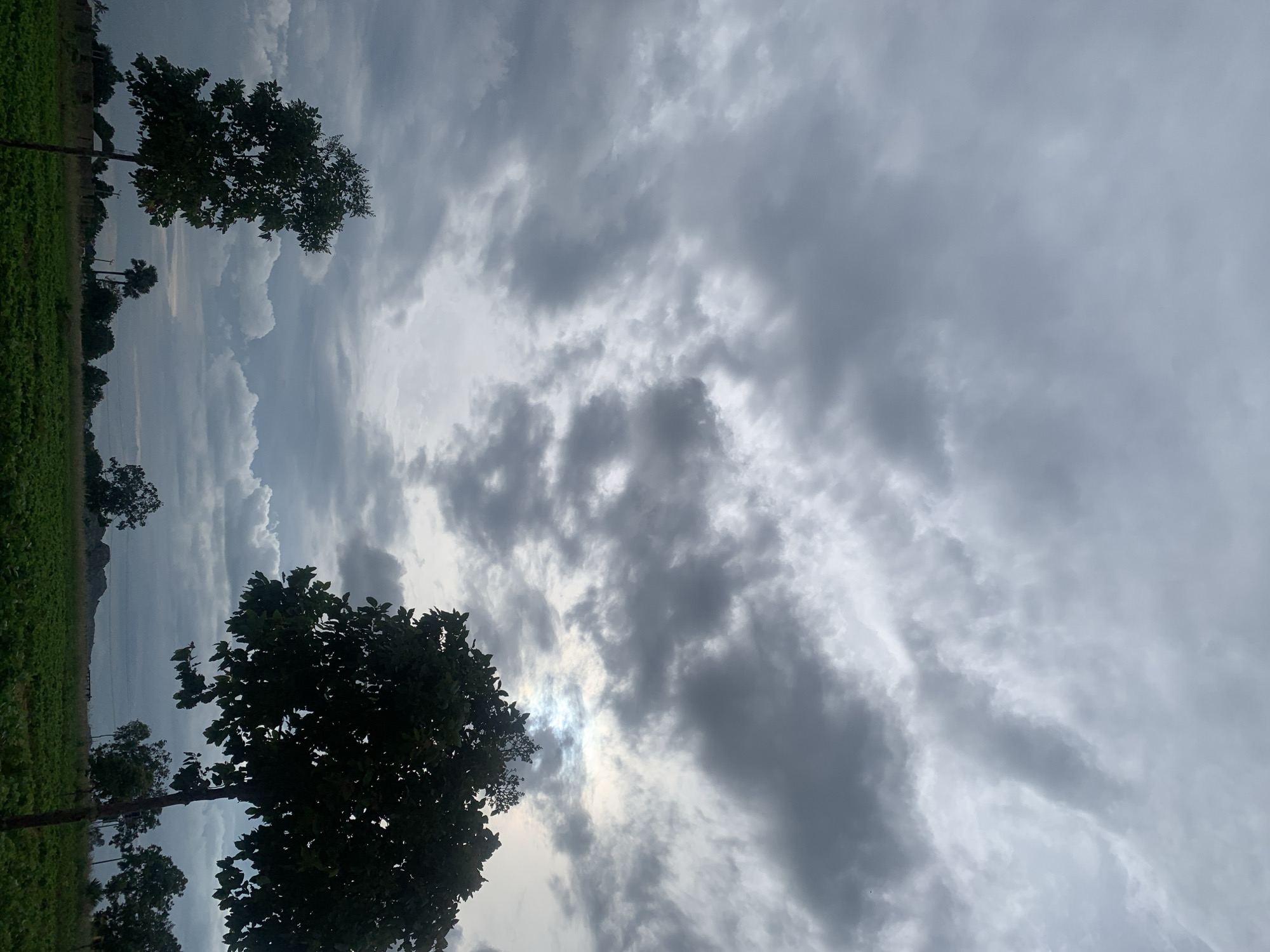 The image shows a cloudy sky over a rural landscape in Kuru Karama, Nigeria. In the foreground, there is a field of green crops. To the left, a tall tree stands silhouetted against the sky. In the center and to the right, other trees and vegetation are visible. The sky is filled with dark, heavy clouds, with patches of lighter sky and sunlight breaking through in the upper right quadrant. The overall impression is one of an overcast or approaching storm.