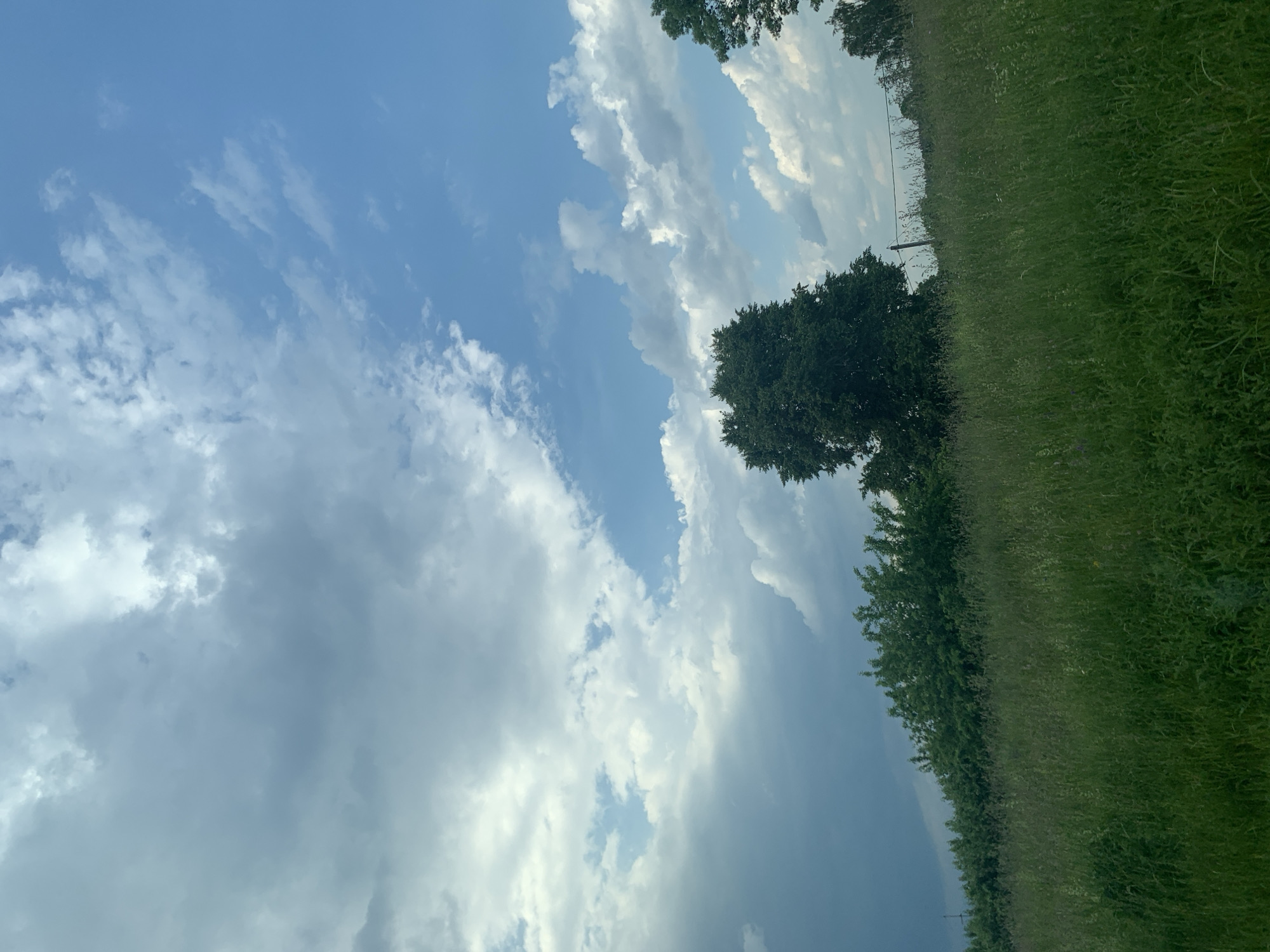 A wide shot captures a grassy field with tall grass and wildflowers, leading to a dense line of green trees in the distance. A large, dark green tree stands prominently in the middle ground, with a utility pole and wire visible behind it. The sky above is a mix of blue sky and dramatic, heavy clouds, suggesting an impending storm or recent rainfall. The location is specified as Грозаўскі сельскі Савет, Belarus. There are no people or animals visible in the frame.