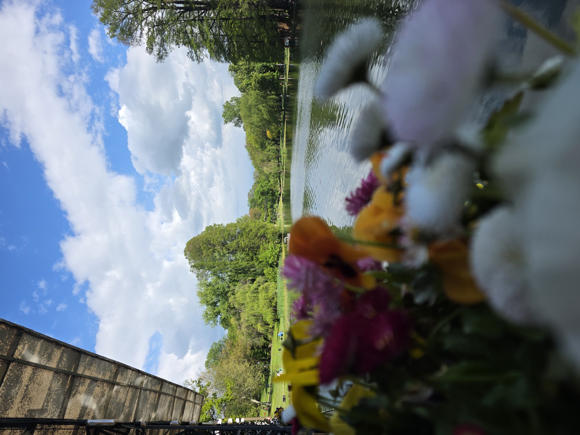 The image depicts an outdoor scene with a pond or lake surrounded by lush greenery. The sky is blue with scattered white clouds. The foreground features a blurry arrangement of colorful flowers in shades of white, pink, yellow, and orange. To the left, a portion of a weathered metal structure, possibly a building or shelter, is visible. In the background, across the water, a green lawn is dotted with people and benches. The trees are dense and green, creating a natural backdrop. The photo appears to be taken from a low angle, focusing on the flowers and the tranquil scenery. The city and state are unknown.