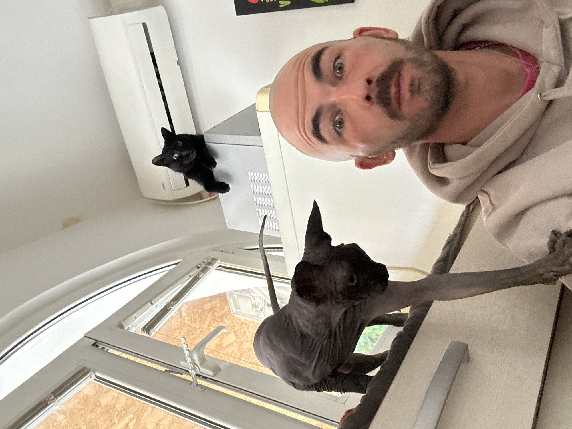 A man takes a selfie indoors with two cats. The man is fair-skinned, bald, with a beard. He wears a light-colored hooded sweatshirt. One cat is a black domestic shorthair that is perched on a white air conditioning unit mounted on the wall. The other cat is a dark-colored Sphynx, perched on a white countertop in front of a window. A glimpse of a building can be seen outside the window, suggesting an urban environment. There is no information suggesting the location is in Budva, Montenegro.