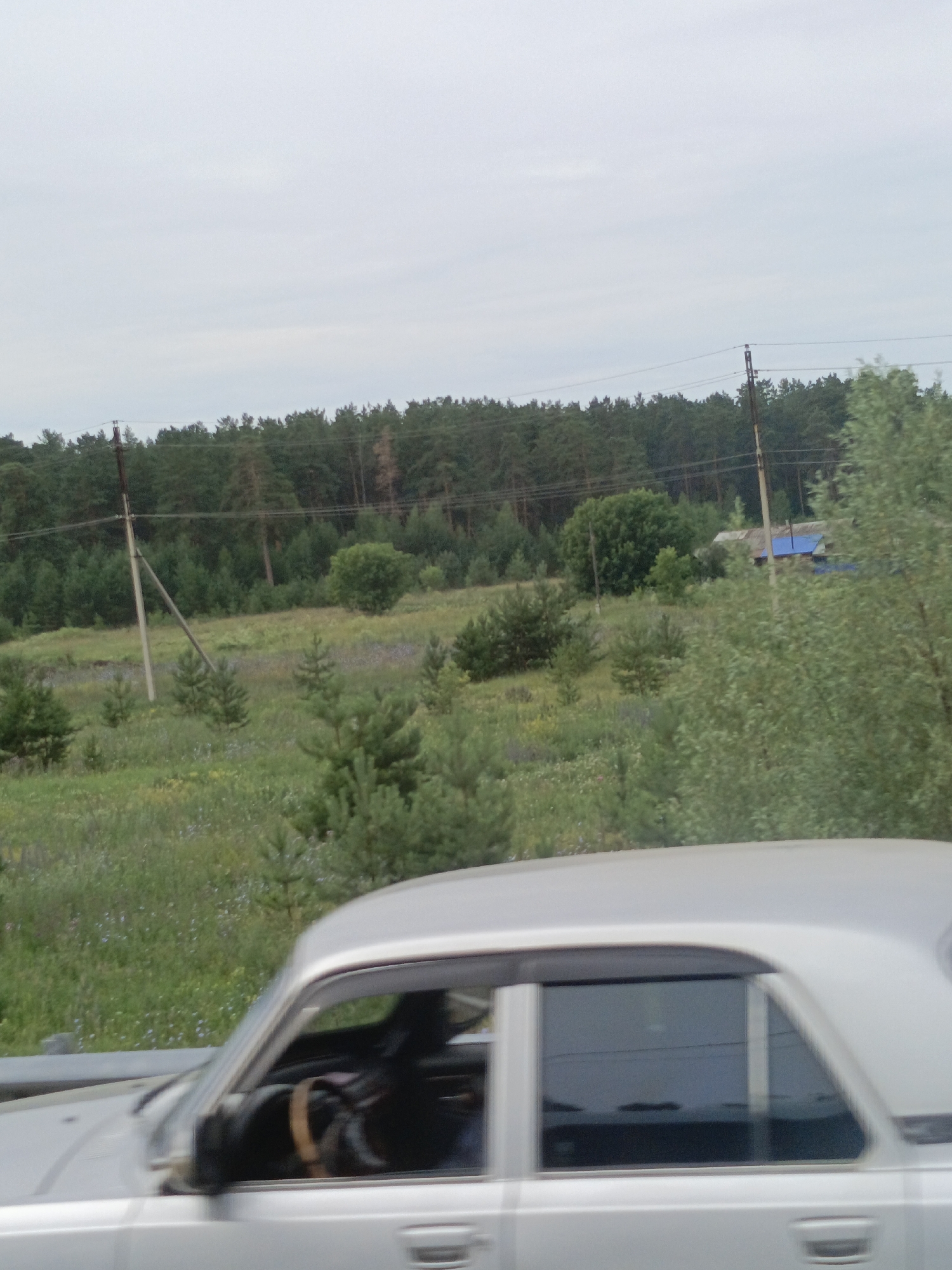 The image depicts a silver sedan driving on a road with a dense forest bordering the right side. A person is visible in the driver's seat, holding the steering wheel. The landscape includes a grassy field with scattered trees and wildflowers. In the background, a small building with a blue roof can be seen. The sky is overcast. The scene appears to be in or near the village of Borovikha, Russia, a location known for its natural beauty and proximity to forests.