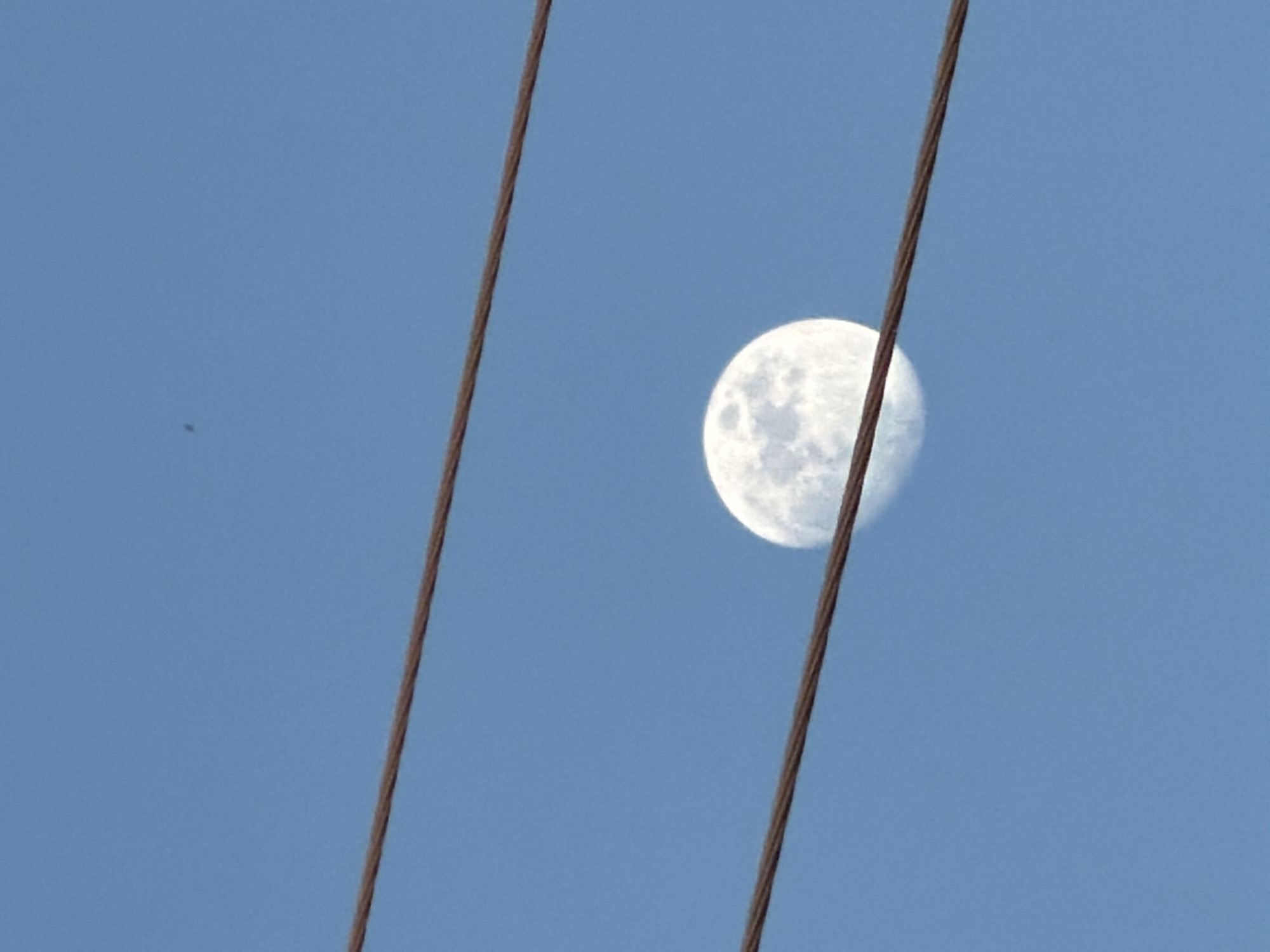 The image displays a bright, near-full moon against a clear, vibrant blue daytime sky. Two dark brown utility cables run diagonally across the frame, partially obscuring the view of the moon. One cable extends from the upper-left to the lower-center, while the other runs from the upper-right to the lower-right. The moon, revealing its cratered surface, is visible in the mid-right portion of the sky, positioned behind the right-most cable. In the upper-left area of the sky, a tiny, dark, and indistinct speck is present, which could be a distant bird or insect. The scene is illuminated by daylight, indicating a clear weather condition with no clouds. No people or visible text are present in the image.