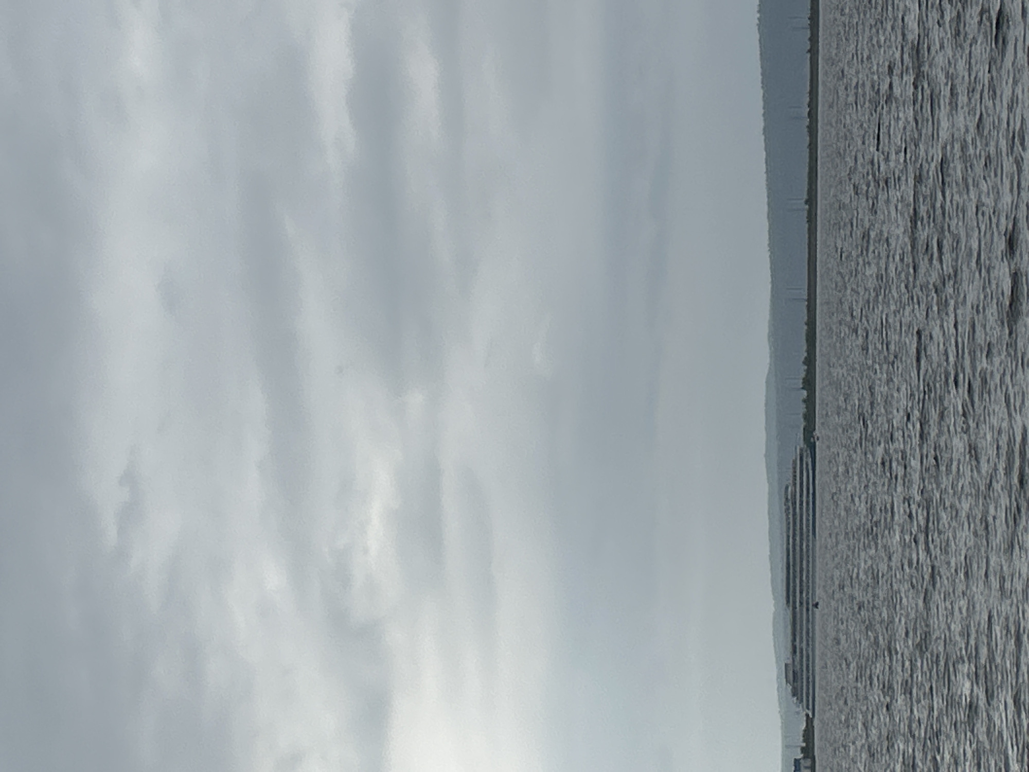 The image depicts a vast, calm body of water under an overcast sky. The water is textured with ripples, suggesting a gentle breeze. On the far side of the water, a distant shoreline is visible, marked by a thin line of trees or buildings, creating a blurred horizon. The sky is predominantly pale gray with subtle variations in cloud cover, indicating a diffused light that suggests it is likely daytime, possibly late afternoon or early morning given the muted tones. The overall atmosphere is serene and perhaps a bit melancholic due to the cloudy weather. No people or distinct objects are clearly discernible in the foreground or midground, with the focus being on the expansive natural landscape. The image has been rotated, presenting the scene from a vertical perspective.