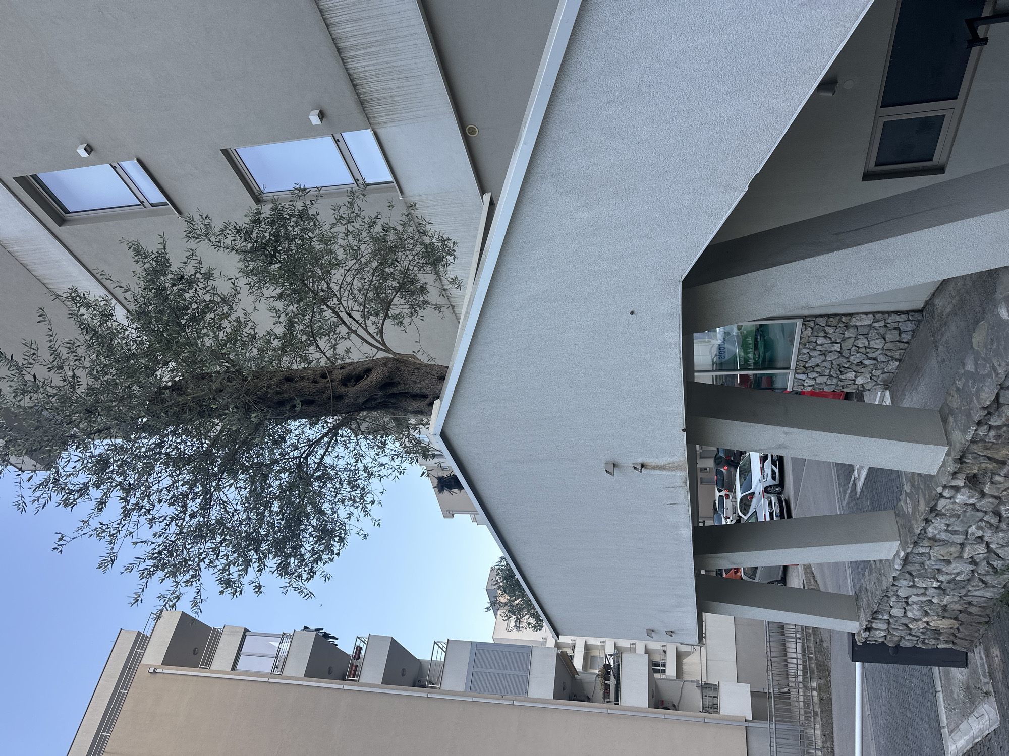 This image, captured in Budva, Montenegro, presents a modern architectural scene under a clear, bright blue daytime sky. The central focus is a large, mature olive tree with a thick, gnarled trunk and dense, grey-green foliage, its branches extending upwards and across the frame.
The tree stands in front of contemporary multi-story buildings, characterized by their clean lines, geometric shapes, and light grey and beige facades. One prominent building features a striking design with angular, overhanging structures supported by robust grey columns. Beneath this overpass, a paved area serves as a parking space or street, where several cars — predominantly white, along with red and silver vehicles — are parked.
The buildings incorporate various windows, including large, rectangular skylight-like openings on sloped upper walls or roofs, and standard dark-paned windows. Some facades have small, square light fixtures. A textured stone wall, composed of irregularly shaped grey rocks, forms a boundary along the base of one structure, providing a contrast to the smooth concrete surfaces.
In the background, additional modern residential buildings with balconies, rooftop features, and fences are visible, suggesting a dense urban or suburban environment. The lighting indicates a sunny day, likely mid-morning or afternoon, casting soft shadows. The only visible text, "21ooh" or "2100h," appears as a reflection in a window within one of the cropped images, possibly indicating a time or unit number. The scene is devoid of people, offering a quiet, architectural study integrated with a natural element.