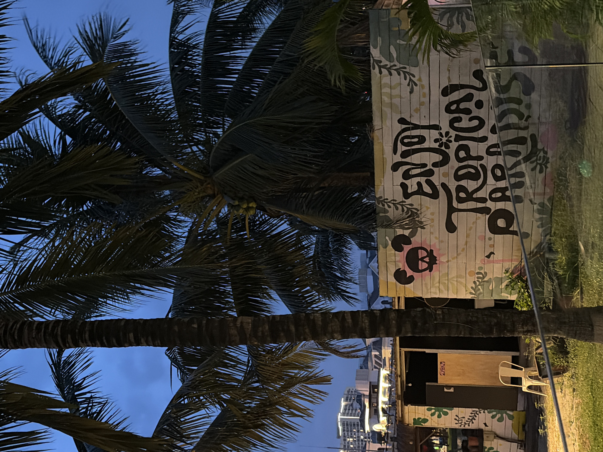 The image captures a scene at dusk in Hanoi, Vietnam, featuring a building with "ENJOY TROPICAL PARADISE" spray-painted on its wall. Palm trees are prominent, with their fronds obscuring parts of the sky and buildings. The building appears to be a small structure with a door and a white chair placed outside. The spray paint art includes a skull with Mickey Mouse ears. In the background, modern buildings with lights are visible, suggesting an urban setting. The overall lighting indicates it's near sunset or twilight.
