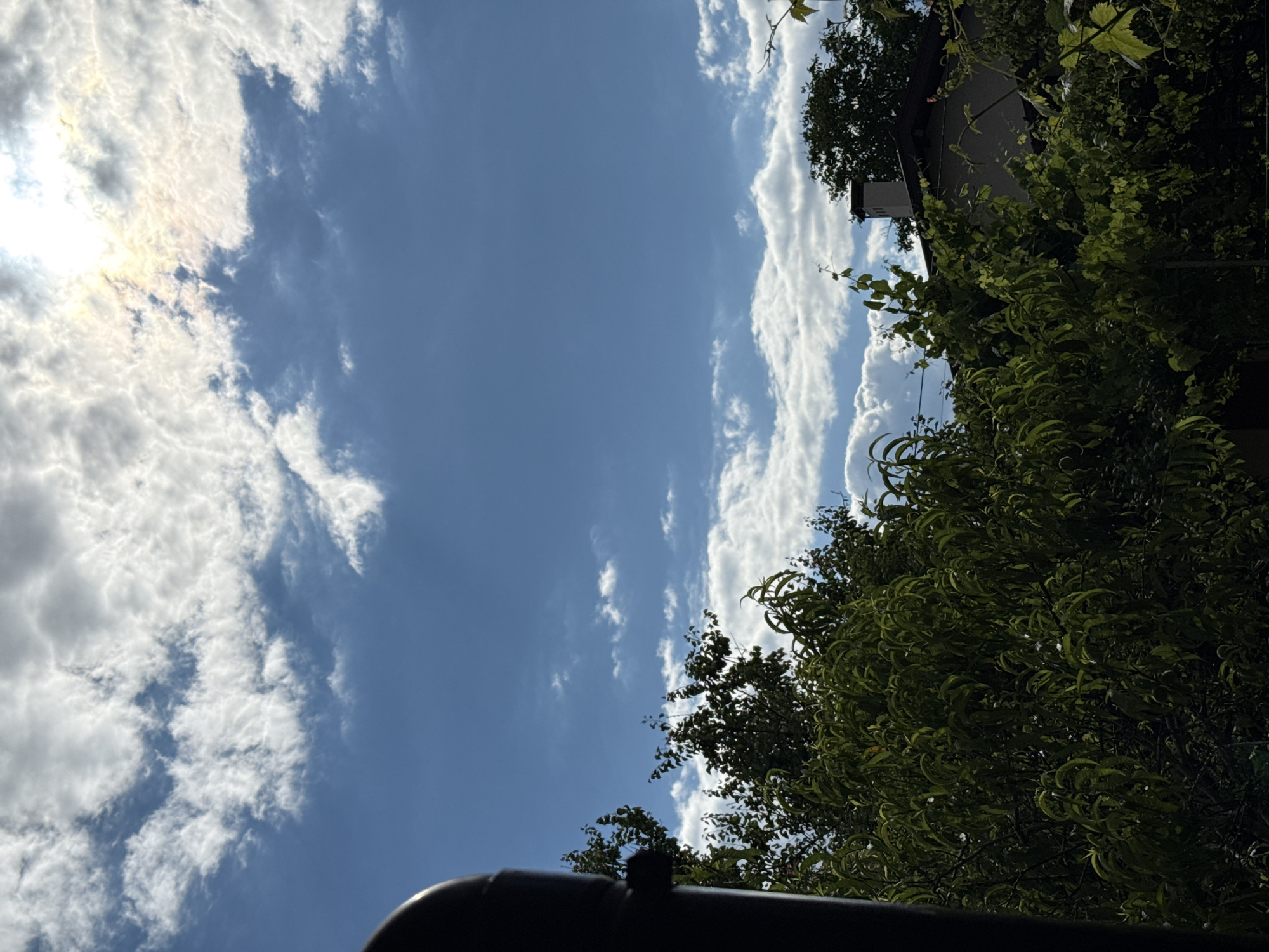 An outdoor, daytime shot, captured from a low angle, looks up at a bright blue sky with scattered white clouds and a sun partially obscured by clouds, creating a sunburst effect. In the foreground and midground, lush green foliage from trees and vines obscures much of the view, with some leaves appearing to be in motion. The very left edge of the frame is occupied by a dark, curved object, possibly a drainpipe or structural element. Partially visible behind the trees and to the right of the frame is the roof and upper portion of a building with a white chimney. The scene appears to be located in a residential area, with the foliage suggesting a garden or surrounding natural landscape. The city of Obukhivka, Ukraine is not directly depicted but is provided as a contextual location. There are no people or discernible actions taking place in the image.