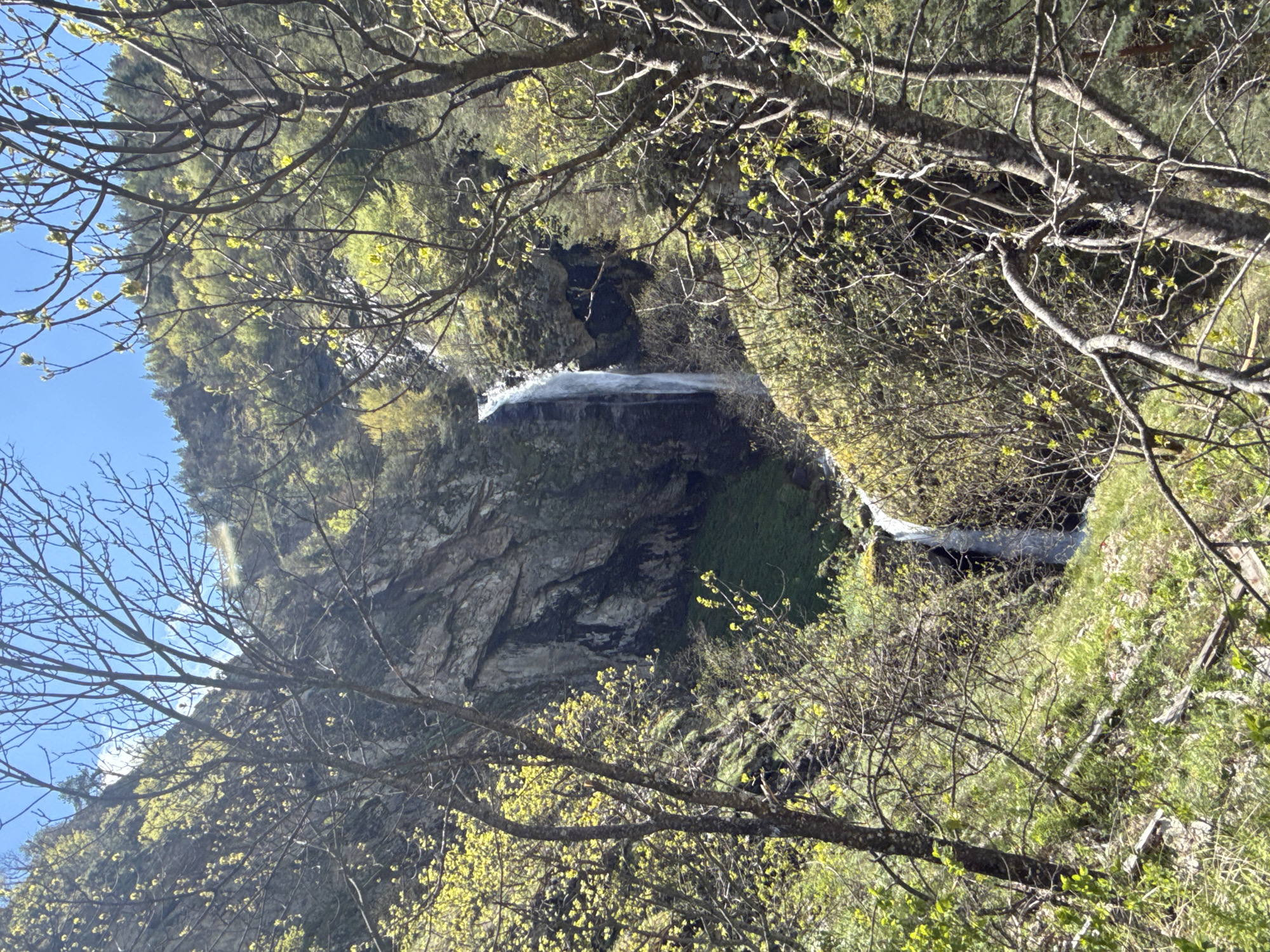 A waterfall is the central element of the landscape. The waterfall cascades down a rocky cliff face covered in green vegetation. The surrounding environment consists of trees with budding leaves, suggesting spring or early summer. The sky is blue and visible in the upper left.
This image is taken in Ovchartsi, Bulgaria.