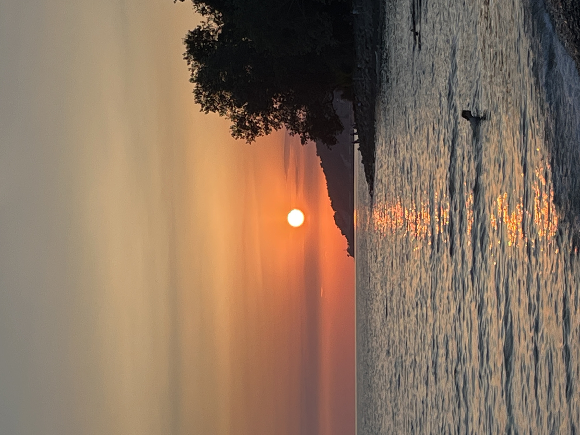 A serene sunset scene unfolds over the Black Sea in Sochi, Russia. The sun, a vibrant orange orb, hangs low on the horizon, casting a warm glow across the sky and reflecting a shimmering path on the water. The sea is calm, with gentle waves lapping at the pebbled shore.
On the right side of the frame, a lush, dark green tree stands silhouetted against the sunset, its branches reaching towards the sky. The coastline curves gently, dotted with rocks and a few small figures of people enjoying the evening. In the water, a lone individual is swimming, their head and shoulders visible above the surface. The overall impression is one of tranquility and natural beauty.