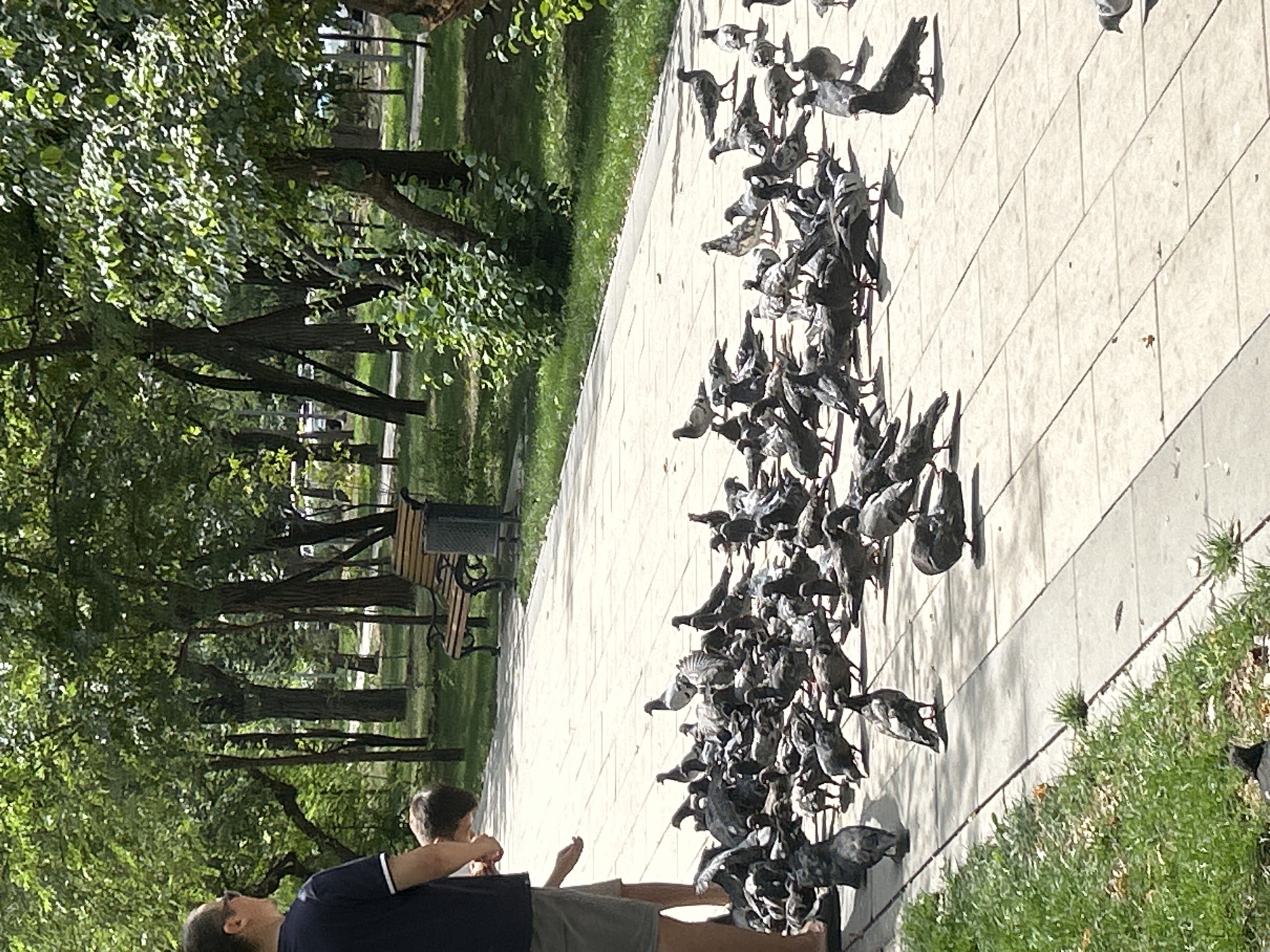 In Almaty, Kazakhstan, a crowd of pigeons gathers on a paved walkway in a park, pecking at food scattered on the ground. A man and a child stand on the left side of the walkway, the man looking down towards the birds. Behind them, trees and lush green grass create a natural backdrop, with a park bench and a trash can visible further in the background. The scene is bathed in sunlight, casting shadows on the pavement.