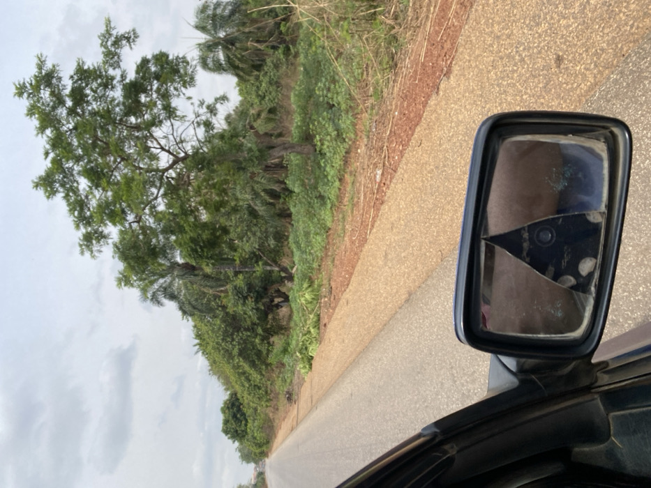 This image presents an outdoor scene within the city of Magongo, Nigeria, captured from the interior of a vehicle. The foreground displays a section of a dark vehicle door and a black-framed passenger-side mirror. The mirror's glass is significantly damaged, exhibiting a prominent triangular fracture and multiple smaller cracks. It reflects a distorted view of the vehicle's interior. A paved road, appearing to be two lanes wide, extends from the lower left into the distance. Adjacent to the road's right edge is a light-brown gravel shoulder, transitioning into a reddish-brown dirt embankment. Discarded green plant cuttings are present along this embankment. The background consists of dense tropical foliage, including various trees with green canopies and multiple palm trees. The sky is uniformly overcast. No individuals are visible.