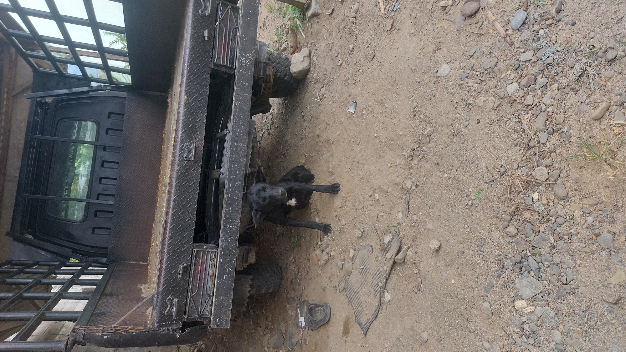 A black dog with white markings on its chest sits under the chassis of a black truck in Kampungbaru, Indonesia. The dog is facing forward, with its ears perked up. The truck's bed is visible, with a metal cage structure at the rear. The ground is made of dirt and small rocks. To the left of the dog, a single sandal and a discolored, woven mat are present. The scene appears to be outdoors, possibly in a rural or semi-rural area given the rough terrain and presence of a utility vehicle.