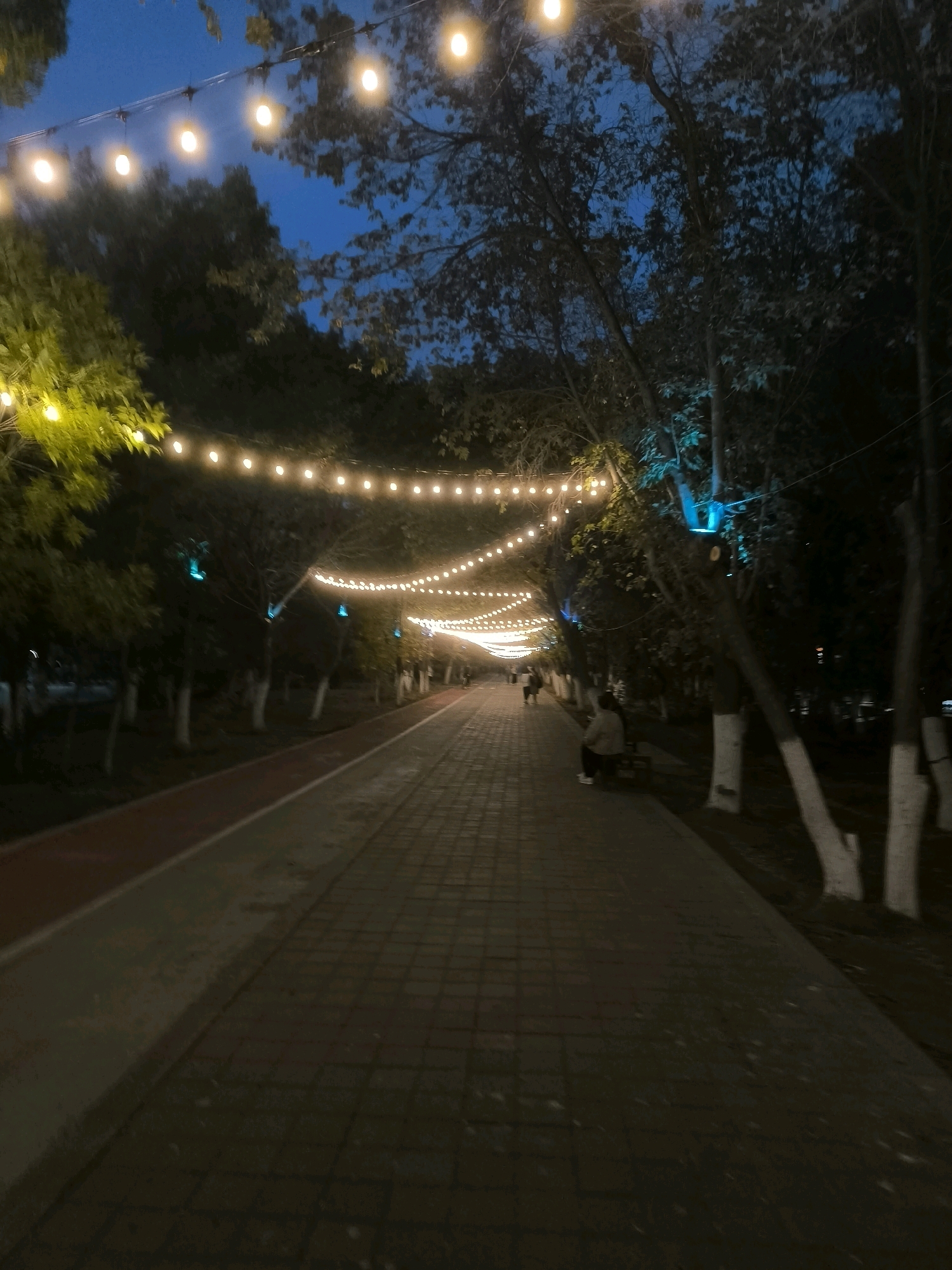 The image depicts an outdoor walkway at dusk or night in Jezqazğan, Kazakhstan. The walkway is paved with dark bricks and is lined by trees. String lights with warm yellow bulbs are strung across the walkway, illuminating the scene. Some trees are also lit with blue lights. A red running track runs parallel to the brick walkway on the left side of the image. In the background, there are a few individuals walking and one person sitting on a bench. The sky is a deep blue, indicating evening.