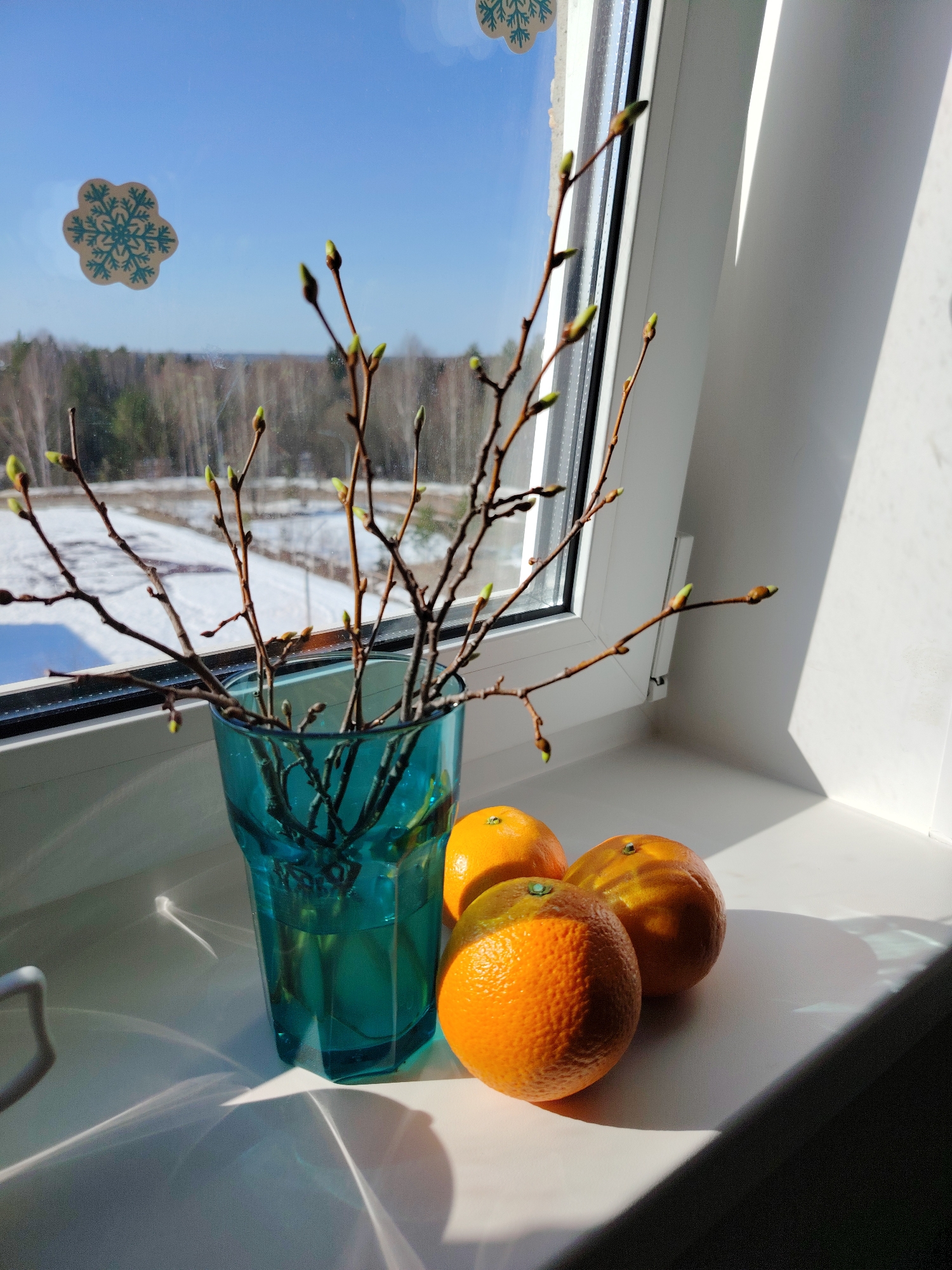 The image shows a still life composed of a blue glass vase filled with budding branches and three tangerines, set on a white windowsill. Outside the window, the landscape reveals a snowy field bordered by a bare forest under a blue sky with a snowflake sticker on the glass. The setting is likely in a northern climate, given the wintery view. Bright sunlight is casting strong shadows across the windowsill and objects.
It is not possible to determine the location of the image as being in Марковский, Russia, from the information provided.