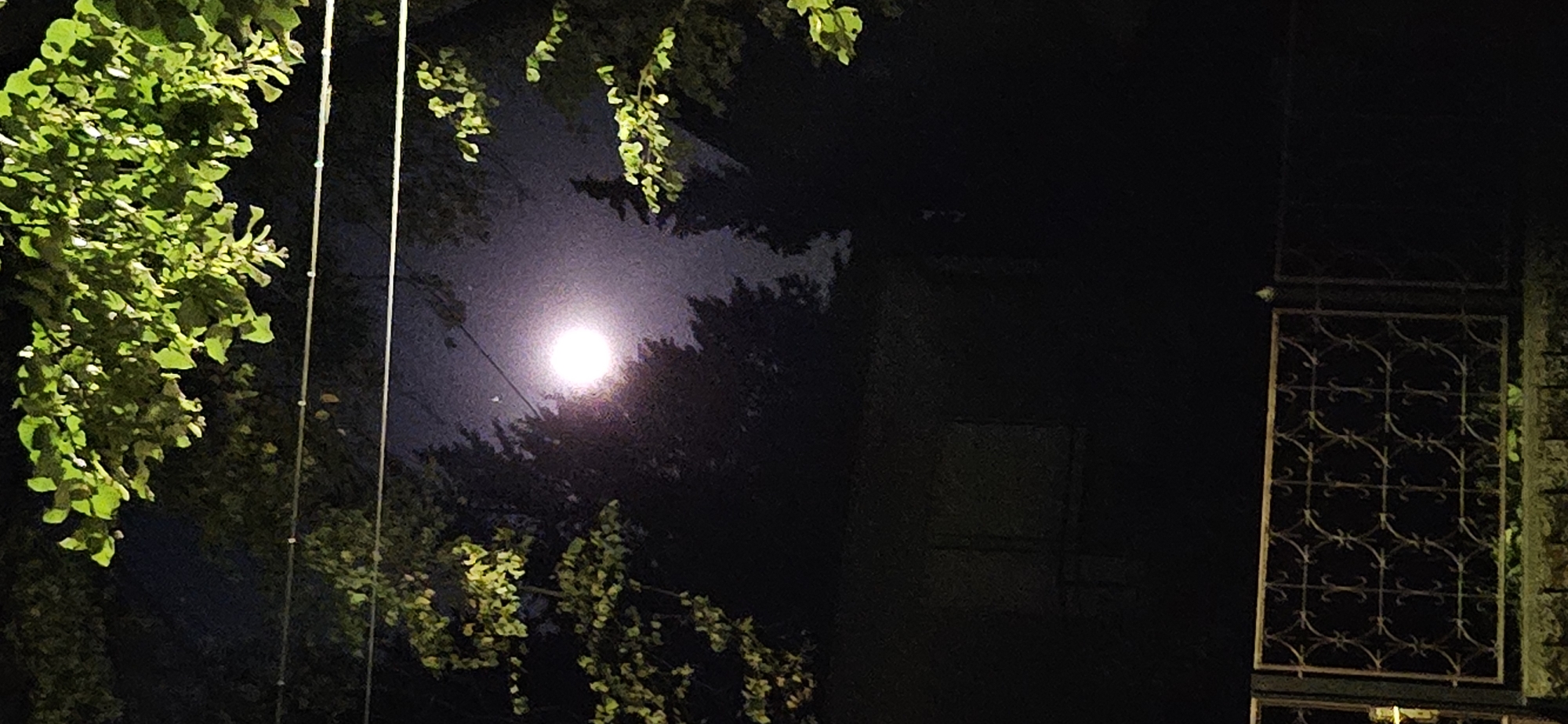 The image depicts a night scene in Hévíz, Hungary. A bright, full moon is visible in the sky, partially obscured by silhouetted trees and foliage. In the foreground, a dark, ornate metal fence runs horizontally across the frame. The fence is made of wrought iron with a repeating decorative pattern. Behind the fence, the outline of a building or structure is faintly visible, appearing dark and indistinct. Overhead, power lines are strung between unseen poles, with some of the surrounding tree branches, illuminated by the moonlight, hanging over them. The overall atmosphere is dark and somewhat mysterious, characteristic of a moonlit night.