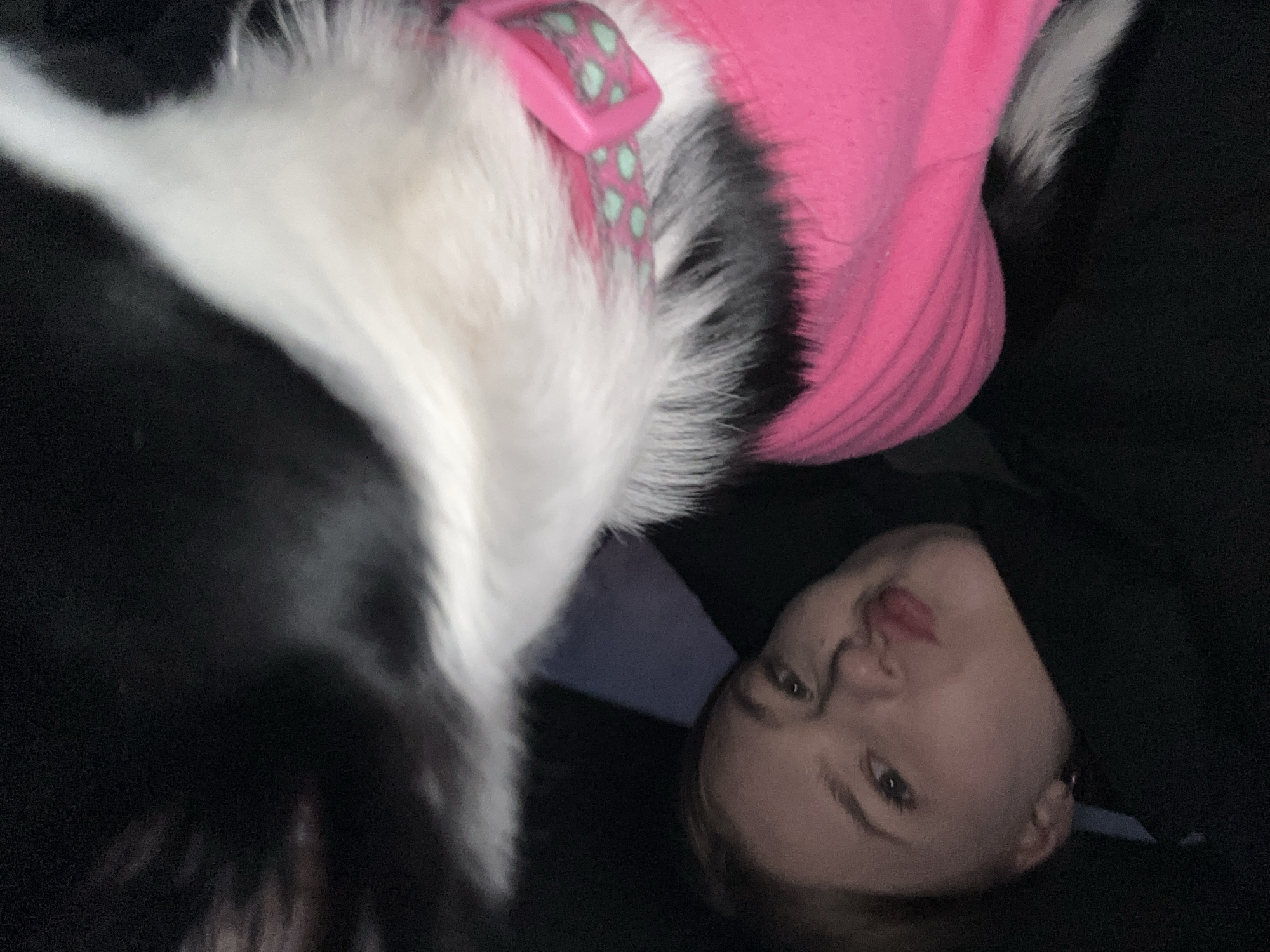 A person is lying down next to a black and white dog. The dog has a pink collar with light green spots and is wearing a pink garment. The person has fair skin, red lips, and is wearing a black garment. The location is not identifiable from the image.