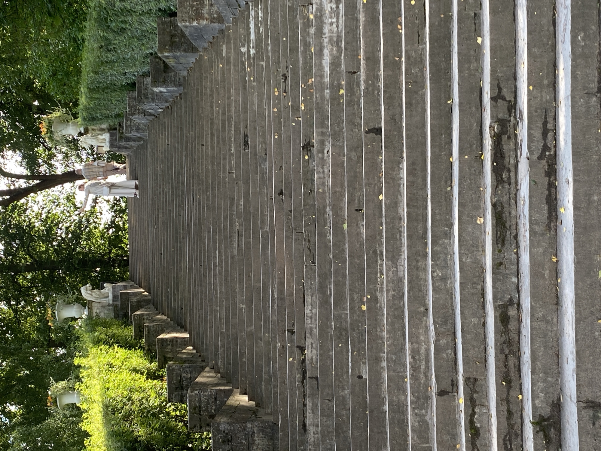 The image shows a grand stone staircase in Pavlovsk, Russia, likely part of the Pavlovsk Park ensemble. The staircase is wide and appears to be made of weathered stone blocks, with some signs of wear and moss growth. On either side of the upper portion of the stairs, there are neatly trimmed green hedges. At the top of the stairs, flanking the staircase, are large white urns filled with yellow flowers, and two stone lion statues are visible, one to the left and one to the right of the urns. Two individuals, one in a light-colored outfit and the other in a checkered shirt and pants, are walking up the stairs. The setting is outdoors, with lush green trees visible in the background, suggesting a park or garden environment. The lighting indicates it is daytime, with sunlight casting shadows on the stairs.