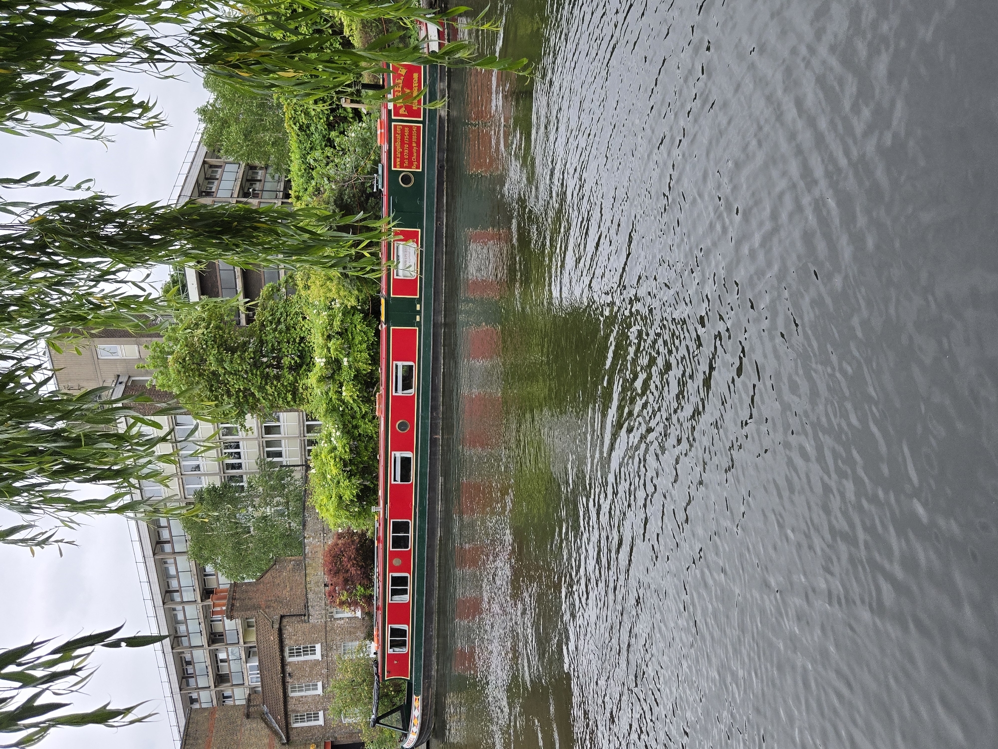 A vertical, medium-shot depicts a canal scene in London, United Kingdom. The water is gray and textured with small ripples, reflecting the surrounding environment. A long narrowboat, painted in red and green, is moored along the canal bank. The boat’s design includes small windows and decorative panels. The boat is reflected in the water. On the bank, there are buildings of various heights and styles, including brick structures and more modern buildings with multiple windows. Trees and bushes line the bank, with foliage partially obscuring the buildings. Leaves hang in the upper left corner of the frame, suggesting an overhanging tree.