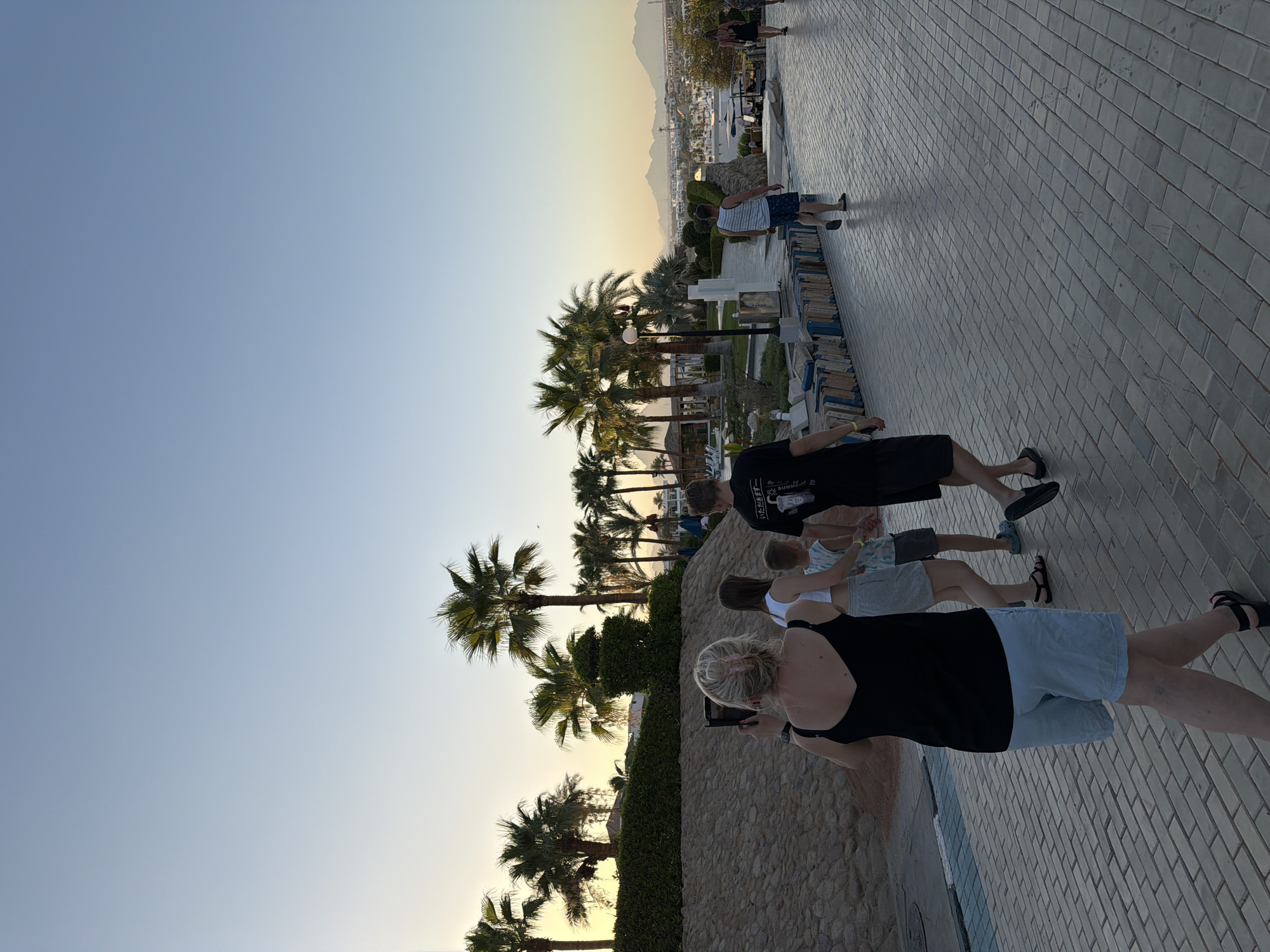The image depicts a paved walkway in a resort area, likely in Sharm El Sheikh, Egypt, given the presence of palm trees and distant mountainous terrain under a clear sky at dusk. A group of people are walking away from the camera. In the foreground, a woman with blonde hair tied up and wearing a black tank top and light blue shorts is holding a phone up, seemingly taking a picture or video. She is walking slightly ahead of a child in a white top and grey shorts and a man in a black t-shirt and dark shorts. Further ahead, another man in a striped tank top and blue shorts is walking. In the background, a line of palm trees borders a stone embankment and a resort area with buildings and a body of water that appears to be the sea. The sky is a pale blue, transitioning to a warmer hue near the horizon, indicating the setting sun.