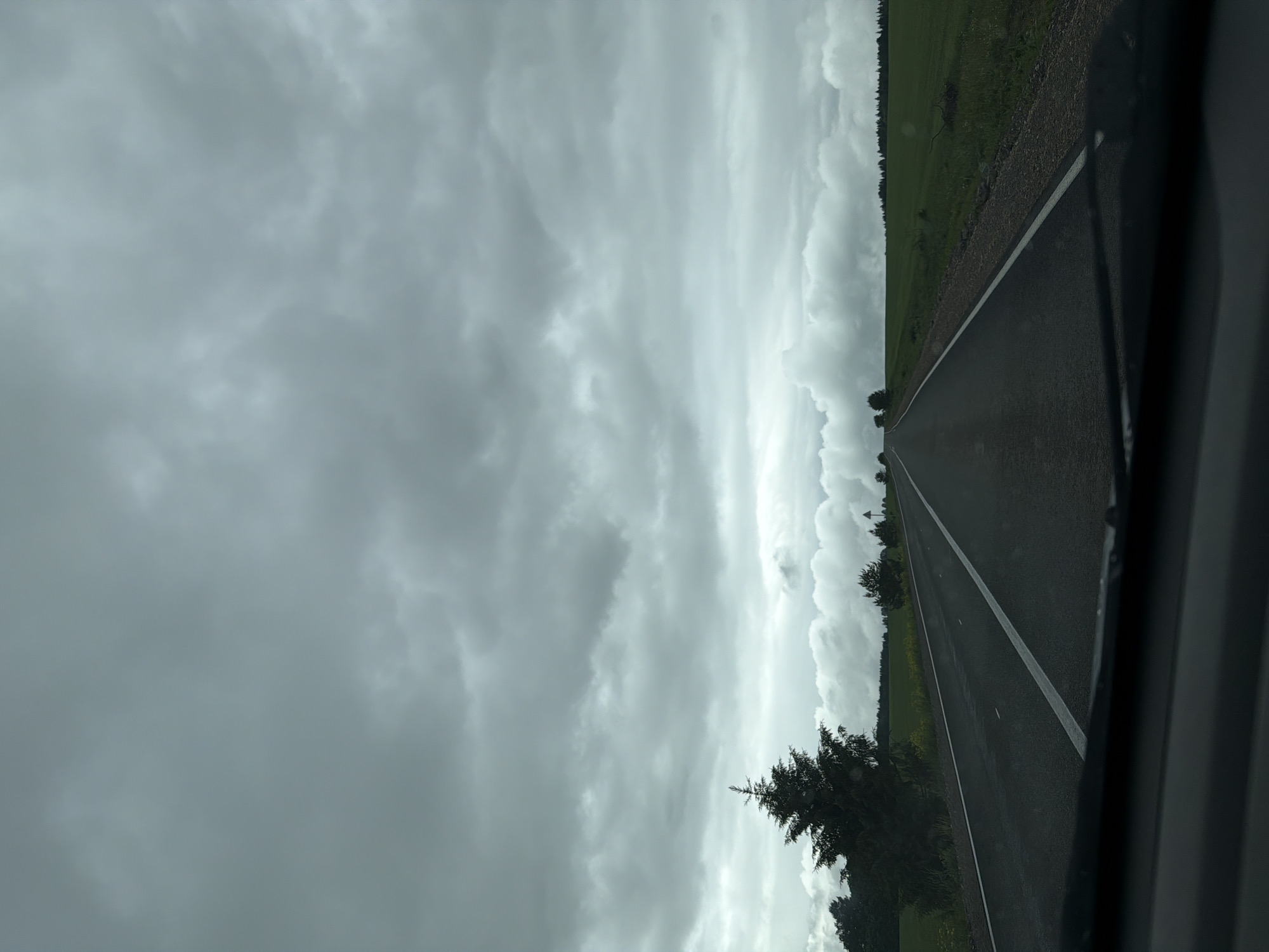 The image shows a view from inside a vehicle, looking out onto a straight, paved road. A white dividing line runs down the center of the road. To the right of the road, there is a stretch of green grass and vegetation, leading to a treeline in the distance. The sky is overcast with grey, cloudy conditions. Part of the car's interior is visible in the foreground on the right, including what appears to be the side of the dashboard and a partial view of the side mirror. There is no visible evidence of people, specific subjects, actions or interactions. The scene appears to be a rural road in a potentially remote area, as evidenced by the lack of traffic and presence of vegetation. There's no evidence that this image is in Niva, Russia.