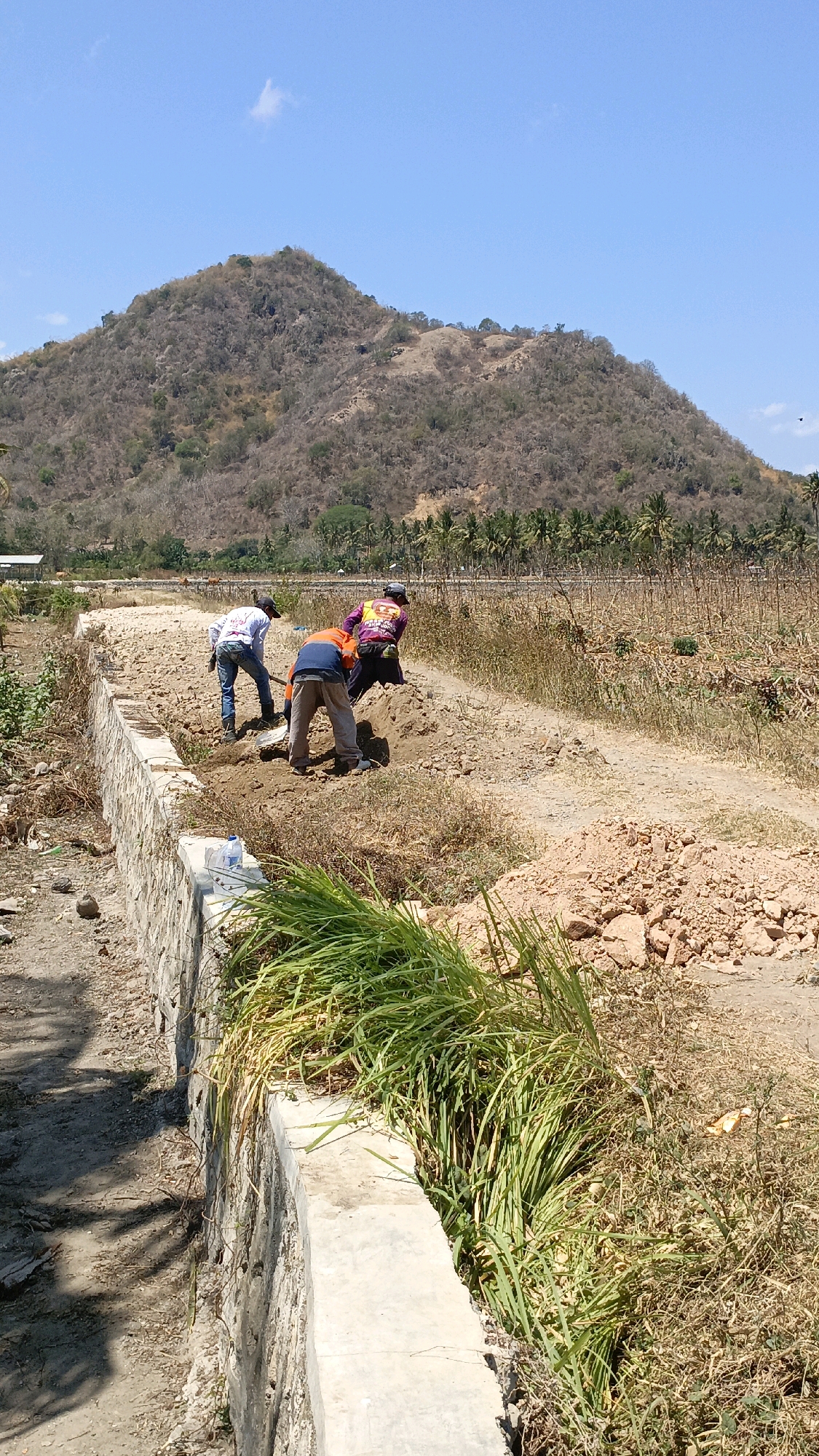 Three men are digging in the dry, brown earth beside a newly constructed concrete drainage ditch. The men are dressed in casual clothing and appear to be working together, possibly on a construction project or agricultural task. One man wears a white shirt and blue jeans, another an orange shirt and grey pants, and the third a brightly colored shirt and dark pants. The background shows a parched landscape with a large, dry, vegetated hill under a clear blue sky. Coconut trees and dry agricultural fields are visible in the mid-ground, suggesting a rural setting in Desa Lamunga, Indonesia. The overall scene depicts manual labor in a hot, arid environment.