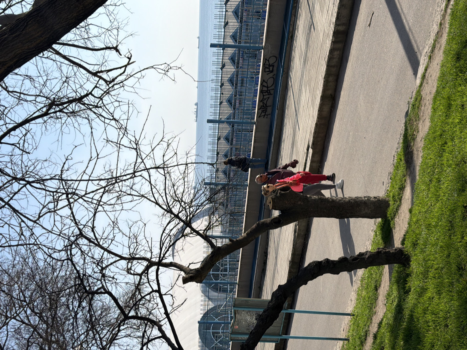 The image depicts a sunny waterfront scene in the city of Unknown, Unknown. In the foreground, a grassy area with emerging green growth is visible, intersected by bare trees with visible pruning marks, casting shadows to the right. A paved asphalt road runs horizontally across the mid-ground, bordered by a concrete curb and a lighter-colored paved sidewalk to its right. Two individuals are walking on this sidewalk from left to right. The first, a female, wears a bright pink top, grey leggings, white sneakers, and sunglasses. The second, a male, wears a dark jacket, red pants, and dark shoes.
Further in the background, a blue metal fence with arched supports separates the sidewalk from a large body of water. Graffiti is present on the concrete base of this fence. Another individual, dressed in dark clothing, stands facing the water near the fence. On the horizon of the calm, blue water, several large cargo ships are discernible. A large, light-colored, arching structure, possibly a stadium roof or building, is visible through the tree branches in the upper-left background, adjacent to the water. The sky is clear and light blue.