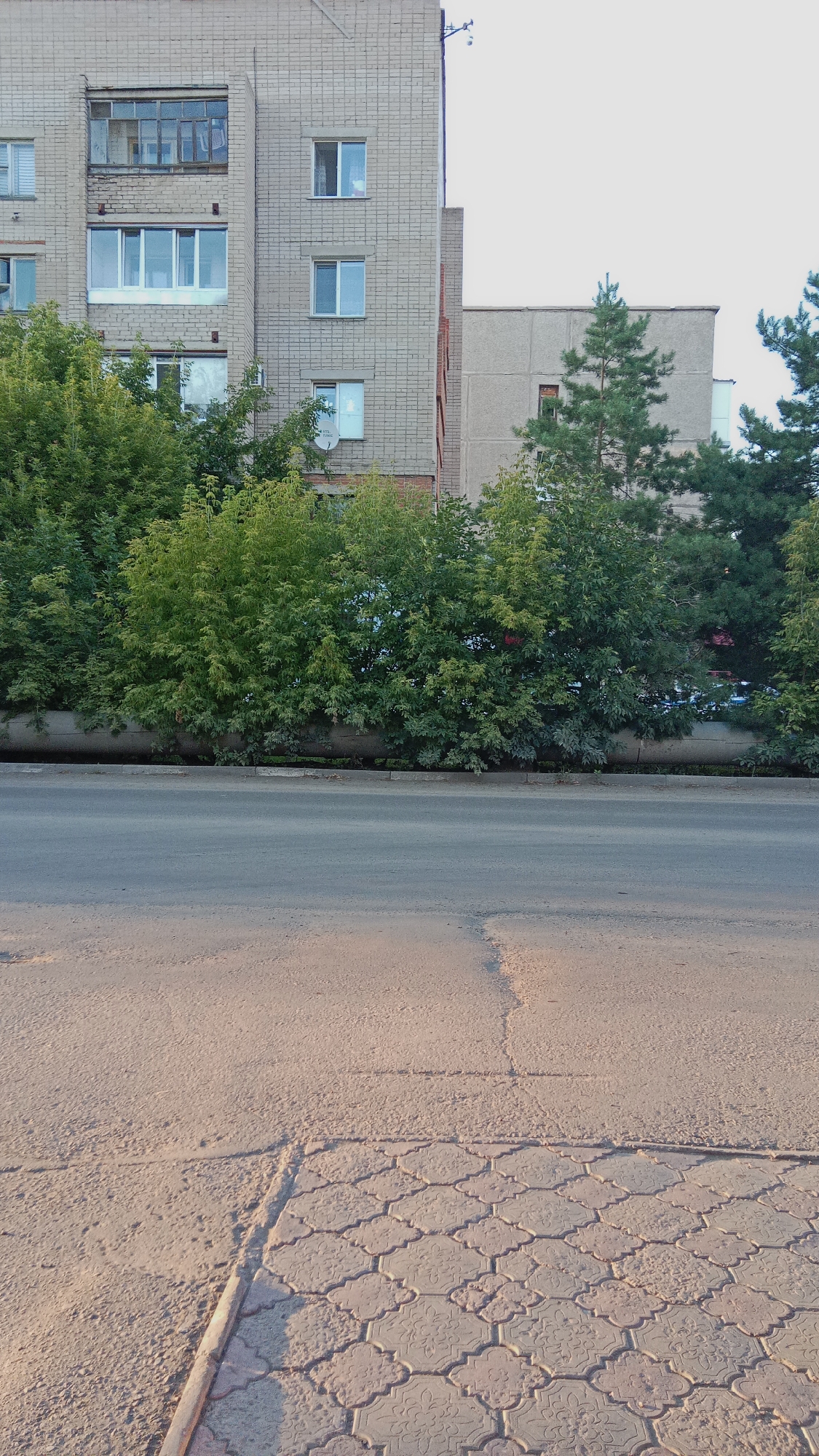 The image depicts a view of an apartment building and a street in the city of Petropavl, Kazakhstan. The apartment building is constructed with light-colored brick and features multiple windows, some of which are covered by curtains or blinds. A satellite dish is visible on one side of the building, and a security camera is mounted on the rooftop. In front of the building, a row of lush green trees and bushes forms a natural barrier. A paved road runs along the front of the scene, with a sidewalk made of decorative paving stones adjacent to it. The lighting suggests it is either early morning or late afternoon, with a warm, soft glow casting shadows. The environment appears to be a residential area within the city. There are no people or vehicles visible in the image.
