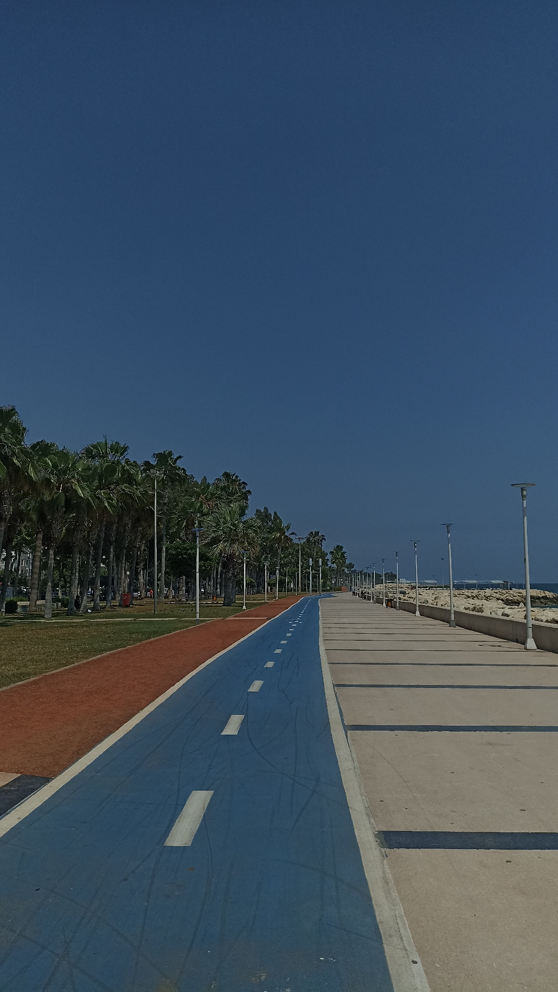 This media file captures a wide-angle view of a sunny coastal promenade in Yenişehir, Turkey. The scene is dominated by a long, blue bicycle path marked with white dashed lines, extending into the distance on the left side of the frame. This path shows faint tire marks, suggesting recent use.
Parallel to the blue path, on its left, is a reddish-brown running track. Further left, a lush green park area is visible, densely lined with numerous tall palm trees that stretch along the entire length of the path. On the right side of the blue path, a wide, light-colored concrete pedestrian walkway or promenade runs parallel, featuring a pattern of alternating lighter and darker rectangular sections, possibly from shadows or design elements.
A series of modern, tall lampposts line both the blue path and the concrete promenade, receding into the background. Beyond the concrete walkway, a rocky shoreline borders a calm body of water, likely the Mediterranean Sea.
The sky is a uniform, deep blue and completely clear, indicating excellent weather conditions. Bright sunlight illuminates the scene, casting subtle shadows, suggesting it is either morning or early afternoon. The overall impression is one of a well-maintained recreational area, currently quiet with no people or significant activity visible. There is no visible text in the image.