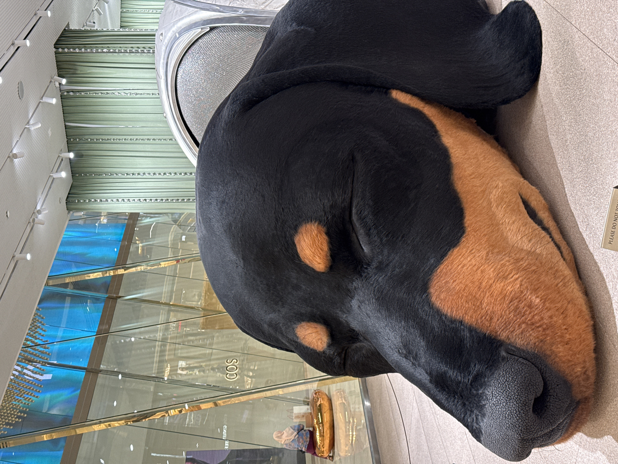 The image shows a close-up of a large, black and tan dog sculpture lying down. The sculpture has a realistic texture and features, with its eyes closed. In the background, there is a store interior with a glass facade, displaying a blue and green abstract digital art piece. A person wearing a headscarf is seated on a golden circular cushion inside the store. The store appears to be named COS, indicated by a visible sign. The environment suggests a retail space, likely a department store or a high-end boutique, within a city setting. The lighting is bright and artificial, consistent with an indoor commercial space. The overall scene is static and focused on the prominent dog sculpture as a display piece. The location is identified as Bangkok, Thailand, suggesting this is a public installation or exhibit in that city.