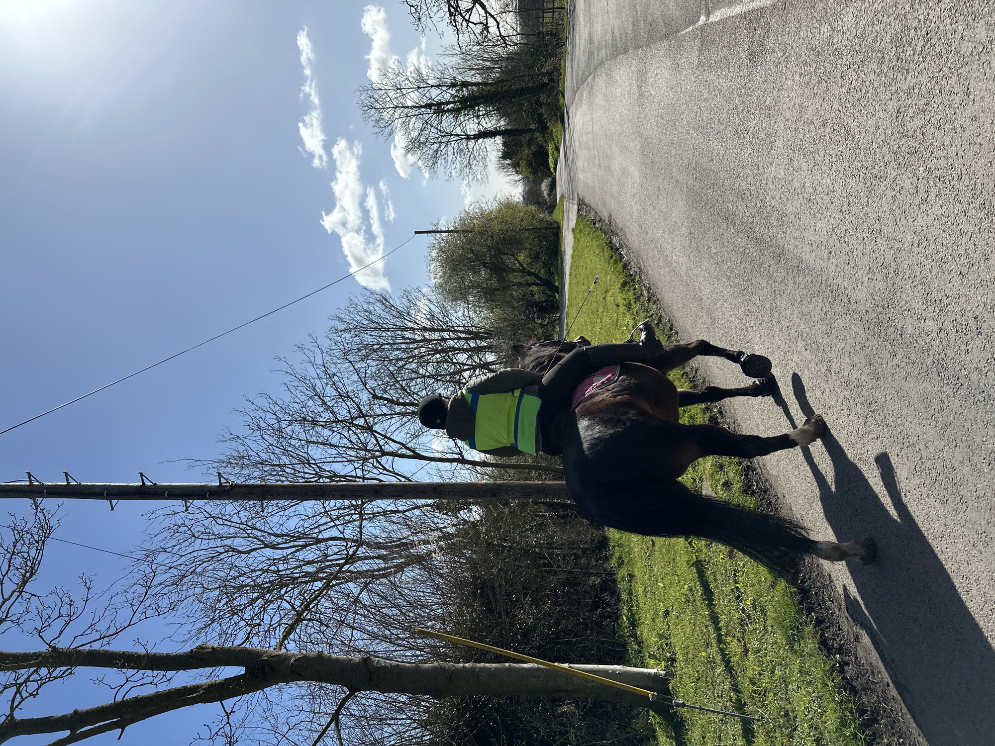 A person rides a dark brown horse on a rural asphalt lane in Maldon, United Kingdom. The rider, viewed from behind, wears a dark helmet and a fluorescent yellow-green high-visibility vest over a dark jacket. A pink saddle pad is visible beneath the saddle. Long shadows of the horse and rider extend across the lane to the right, cast by a bright, sunny sky with scattered white clouds. To the left of the lane, a green grass verge borders the road, featuring several bare deciduous trees and dense undergrowth. A wooden utility pole with visible overhead wires stands on the left. A yellow pole leans against the base of one of the trees. The lane continues into the distance, curving right and lined by further vegetation.