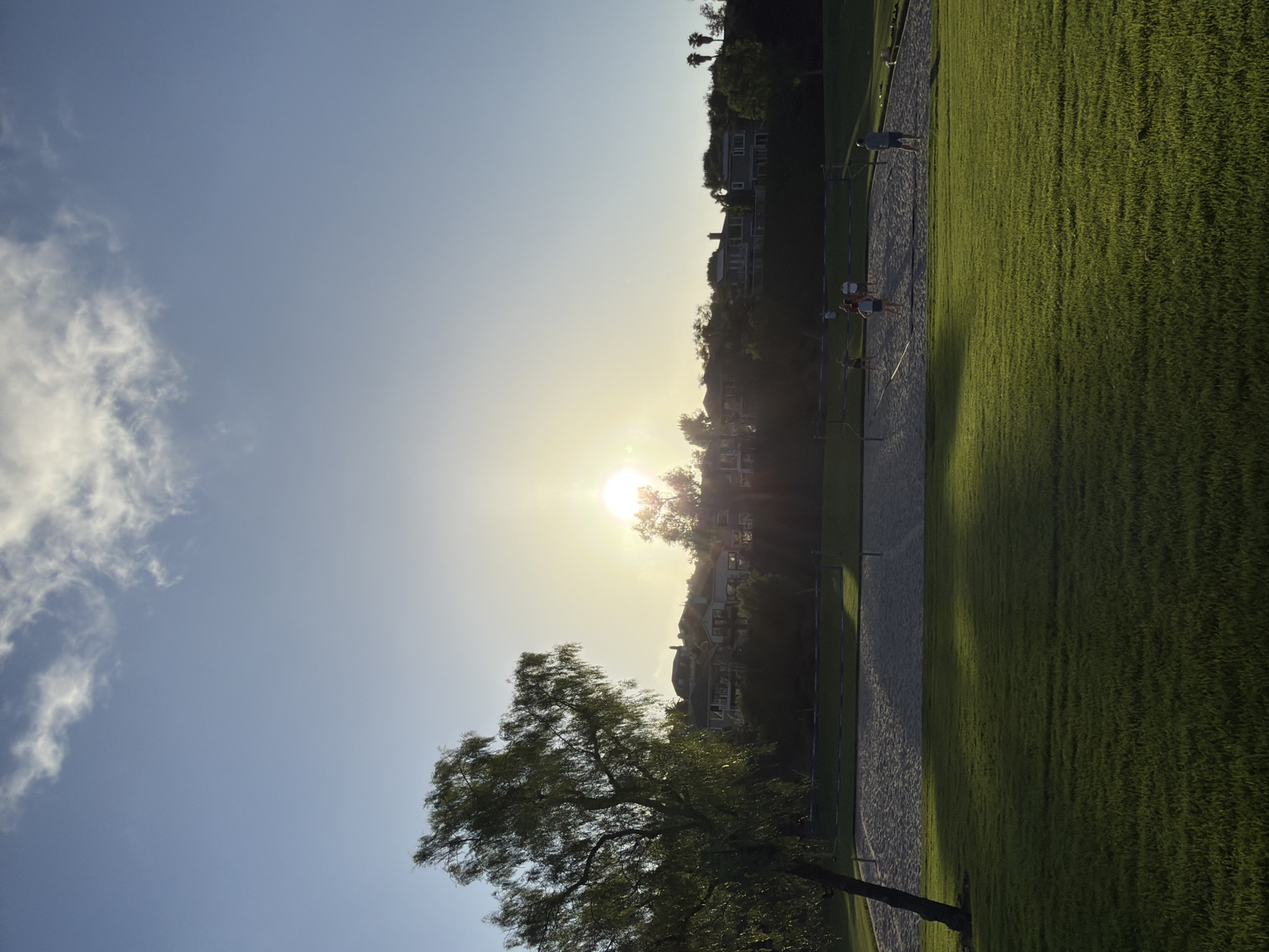 This is a vertical, eye-level, medium-wide shot of a park in Aliso Viejo, California, with a sun-drenched sky and houses in the background. The sun is low in the sky, casting a golden hue over the scene. In the foreground, a lush green lawn is illuminated by the setting sun. To the left, a slender tree with weeping branches casts a long shadow across the grass. Beyond the lawn is a sand volleyball court with a net, where a group of people are playing. In the distance, several homes are visible on a hillside, surrounded by trees and palm trees. The sky is a clear blue with wispy white clouds near the sun.