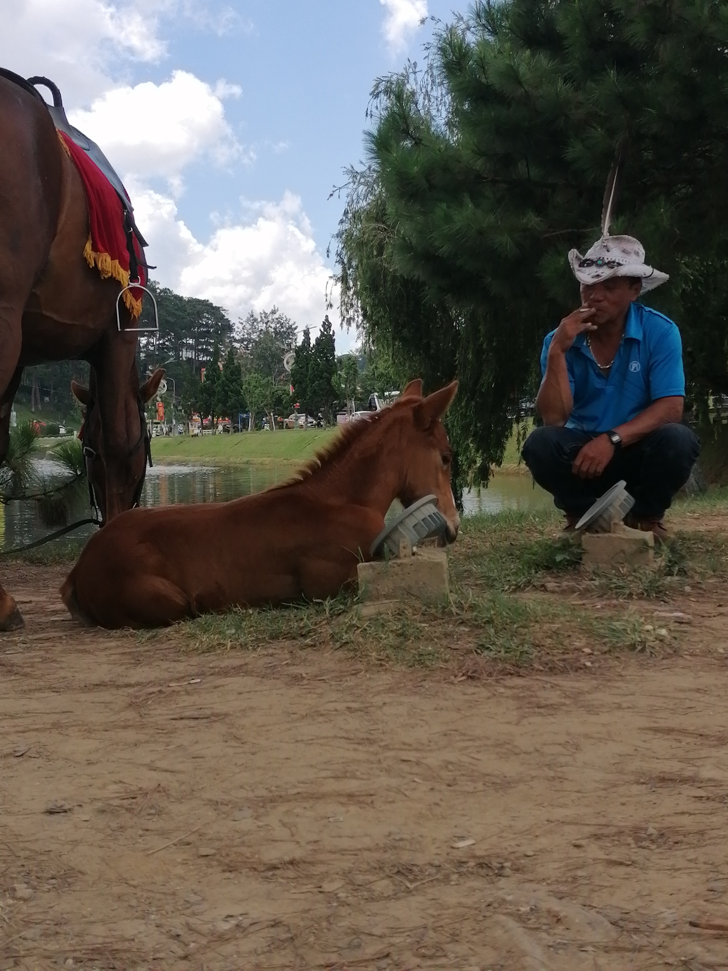 Memory