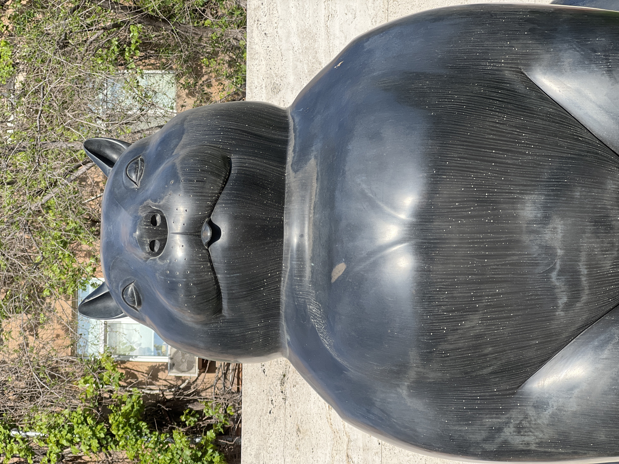 The image shows a large, black cat sculpture located outdoors. The cat is lying down with its head facing the viewer. The sculpture appears to be made of metal and has a smooth, polished surface. The background includes a building with windows, and some trees with green leaves. The location is the Cascade complex in Yerevan, Armenia.