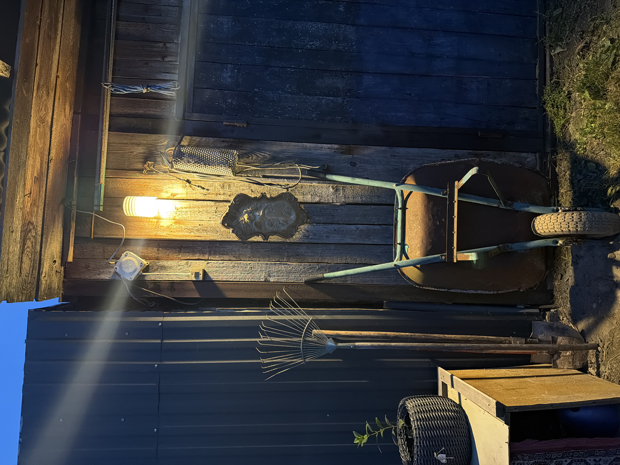 The image depicts an outdoor scene at dusk, likely in a rural or suburban setting, potentially near Kamianka-Buzka, Ukraine. A weathered wooden wall serves as the backdrop, illuminated by a single hanging light bulb that casts a warm glow. To the left, a dark corrugated metal structure stands adjacent to the wooden wall. In front of these structures, various gardening tools are arranged. A rake leans against the metal wall, with a shovel positioned beside it. A wheelbarrow, showing signs of rust and use, is centrally placed. A small potted plant sits on a wooden surface to the left. The ground is covered with dry grass and soil. A wooden door is visible on the right side of the image, and a portion of a shed roof is present at the top. The overall atmosphere is one of utilitarian storage and a quiet evening.