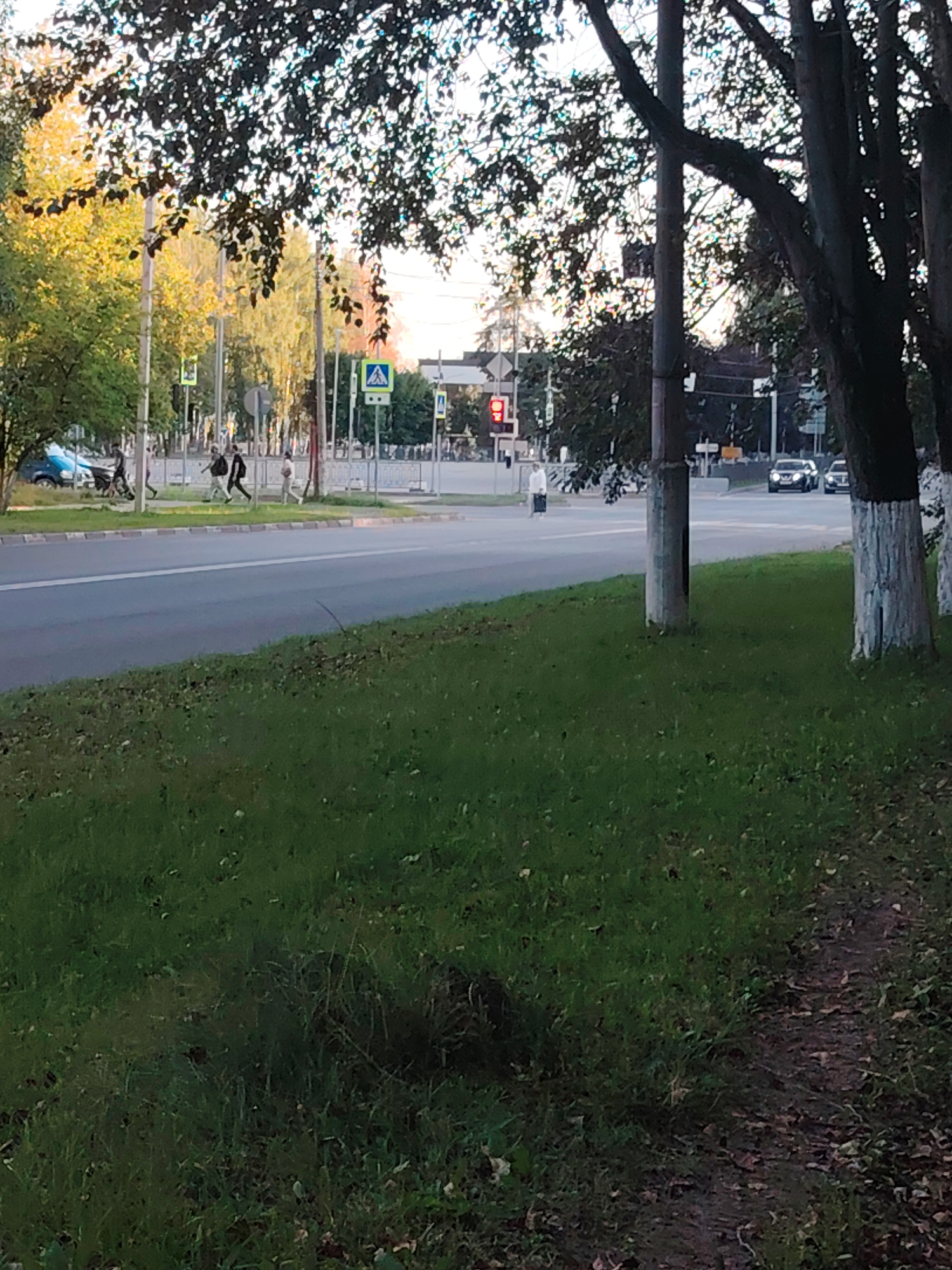 The image depicts a street scene in Konakovo, Russia, likely during the daytime. A paved road with a white lane divider runs horizontally across the mid-section of the frame. On the left side of the road, a grassy area with some fallen leaves is visible, bordered by a curb. Beyond the road, there is a pedestrian crossing with traffic signals. Several pedestrians are crossing the street, with one individual in a white shirt and dark pants on the far left, followed by two individuals in darker clothing walking together, and another person in lighter clothing on the right. Trees with dark foliage are present on the right side of the image, with some showing white paint on their lower trunks. In the background, more trees with yellowing leaves suggest it might be autumn, and buildings are faintly visible. There are traffic lights visible, with one showing red. Cars are present on the road in the background, with two dark-colored sedans on the right side. The overall atmosphere is that of a typical urban street in a residential or commercial area.