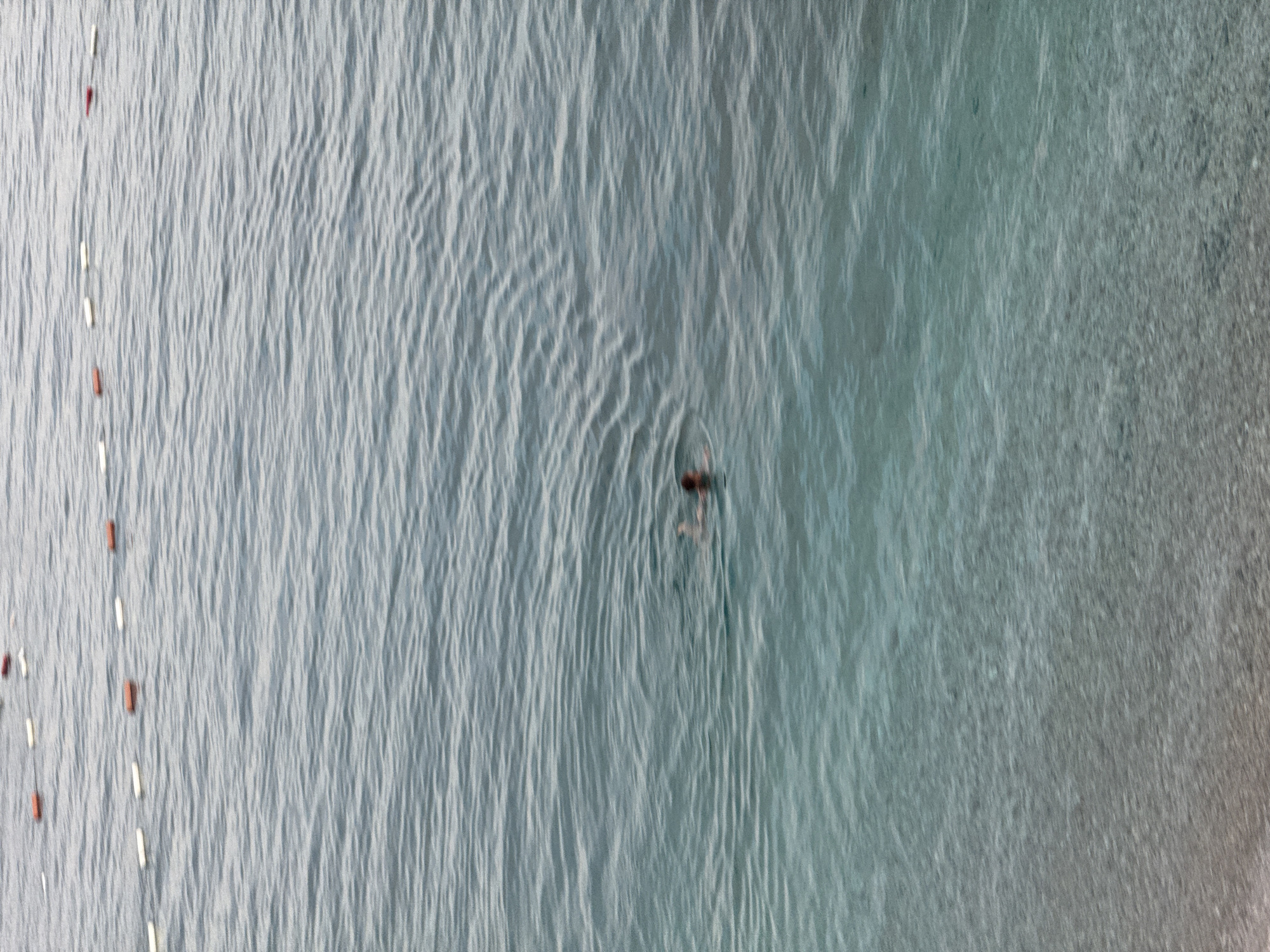An aerial, wide-angle shot shows a person swimming in the sea. The water is a deep blue-green, with light ripples reflecting the sunlight. The swimmer is in the center of the frame, with their head and shoulders visible above the water. They appear to be swimming freestyle.
Along the left side of the image, a series of buoys are visible, marking off an area of the water. The buoys are a mix of red and white. The shoreline is not visible in this frame.
The scene appears to be taking place during the day, likely in the late morning or early afternoon, given the bright sunlight. The weather seems to be clear and calm, with no indication of wind or storms. The overall mood of the image is one of tranquility and relaxation, with the swimmer enjoying a peaceful swim in the ocean.
The location is Kamenovo, Montenegro. There is no visible text in the image.