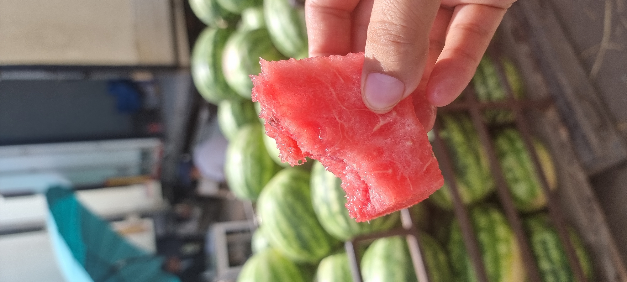 A close-up shot captures a hand holding a partially eaten slice of watermelon. The watermelon is vibrant red with visible fibers and a bite mark on its surface. In the background, rows of watermelons are neatly stacked, some in wooden crates. The scene appears to be an outdoor market or fruit stand, possibly in the city of Aktobe, Kazakhstan. The lighting suggests it is daytime. The overall impression is one of a fresh, readily available produce setting.