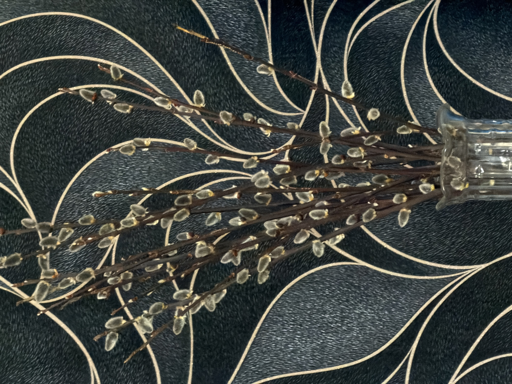 In the city of Chaikovsky, Russia, a bouquet of pussy willow branches stands in a clear glass vase against a patterned wall. The vase, visible at the bottom center, is transparent and features vertical ridging. Multiple slender, dark brown branches extend upwards, densely covered with numerous oval-shaped, fuzzy, silvery-white catkins; some catkins reveal subtle yellow-gold pollen at their bases. The background wall covering is dark blue-grey with a fine, textured surface, overlaid with flowing, curvilinear patterns in a light beige color, forming abstract organic shapes. No individuals or other subjects are present in the image.